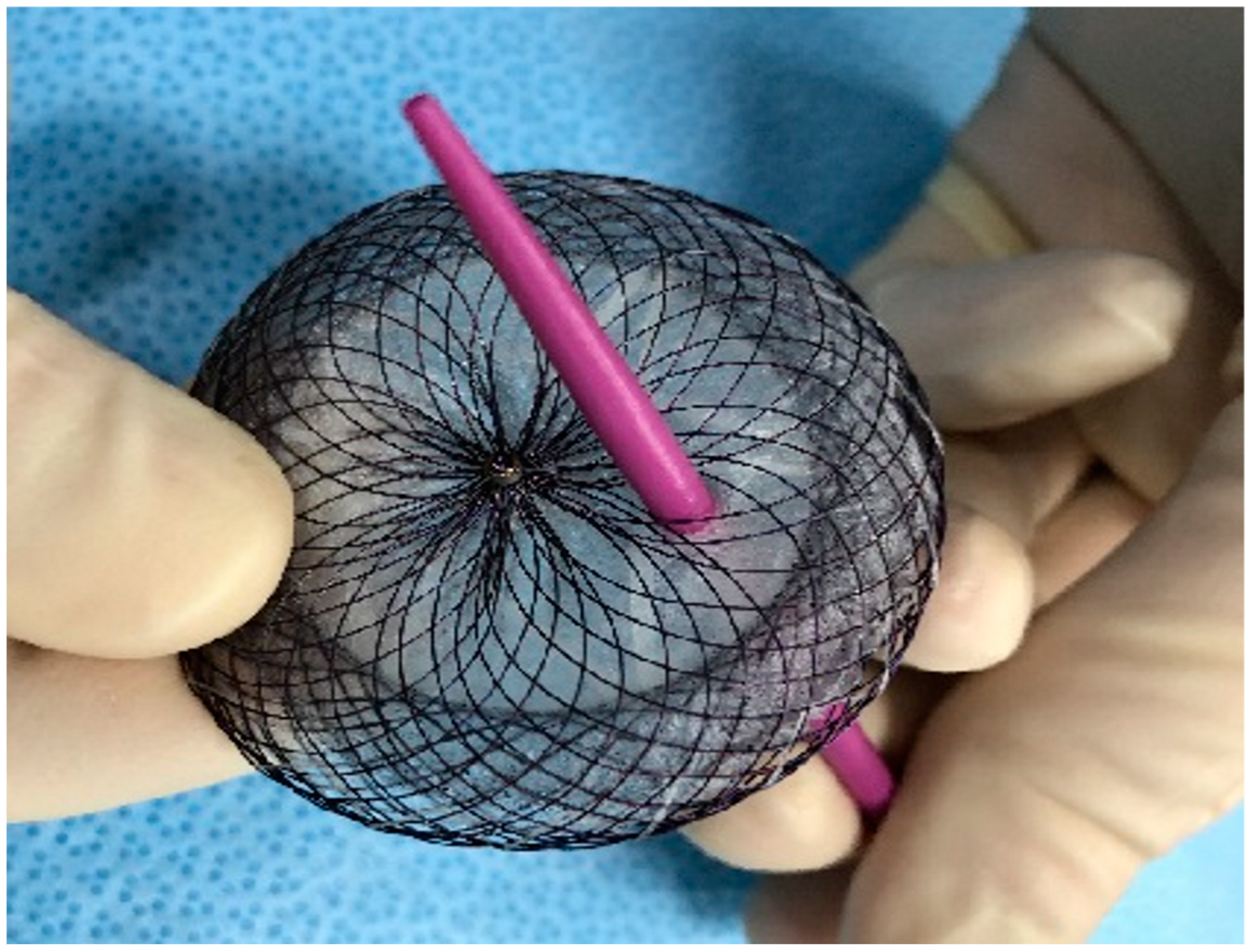 Children 10 00518 g002 Children 10 00518 g002