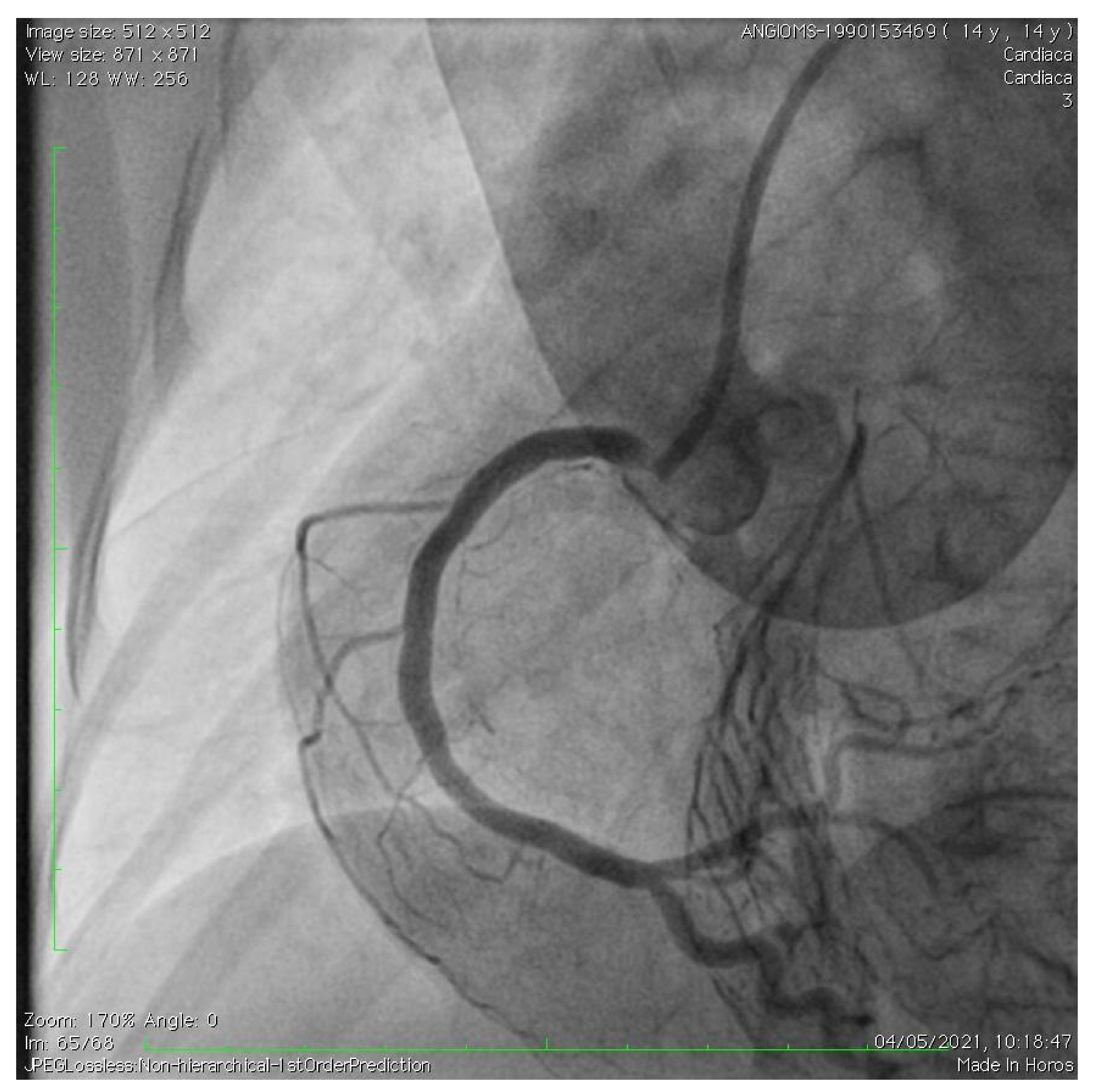 Children 10 00526 g002