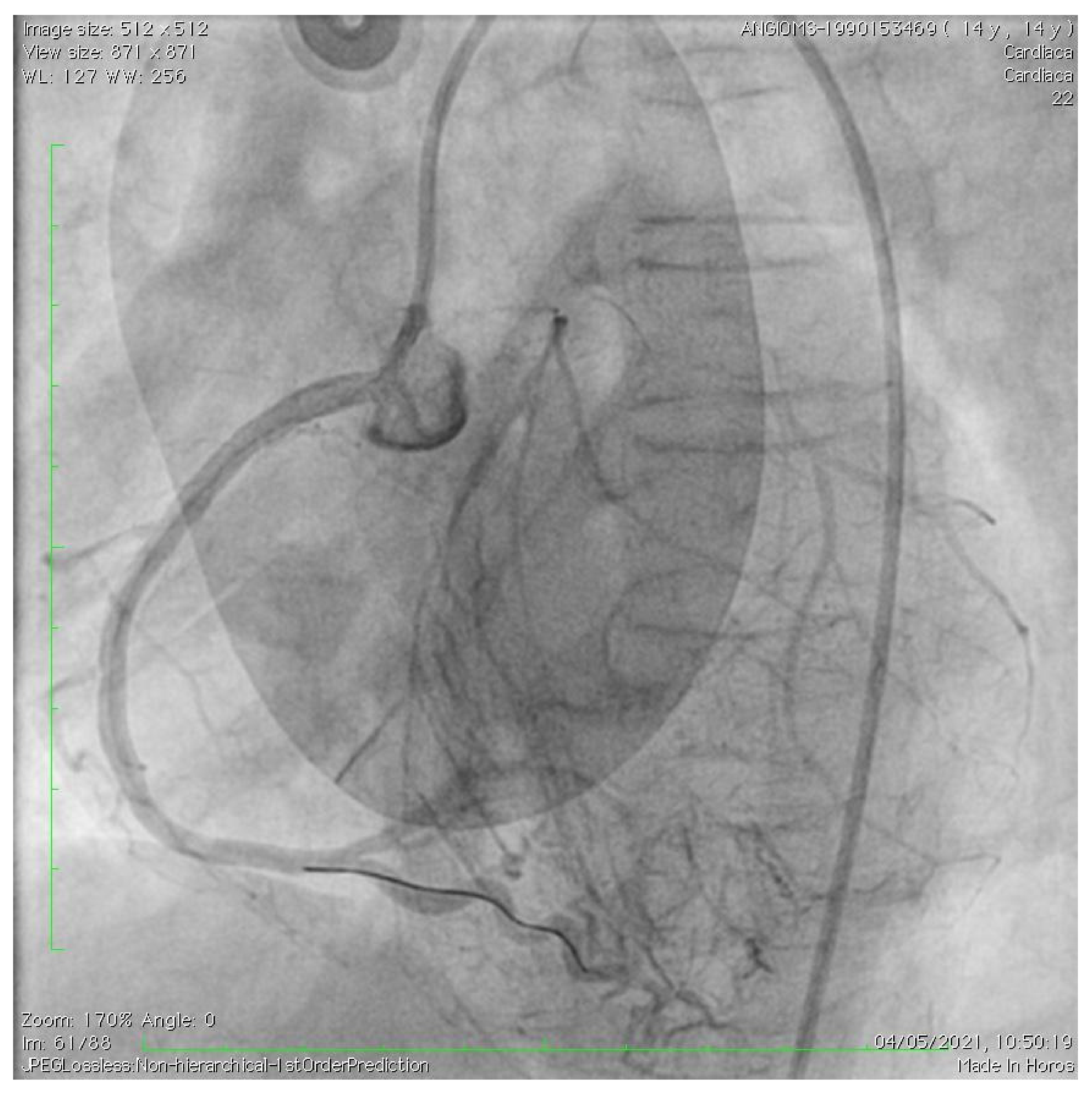 Children 10 00526 g004