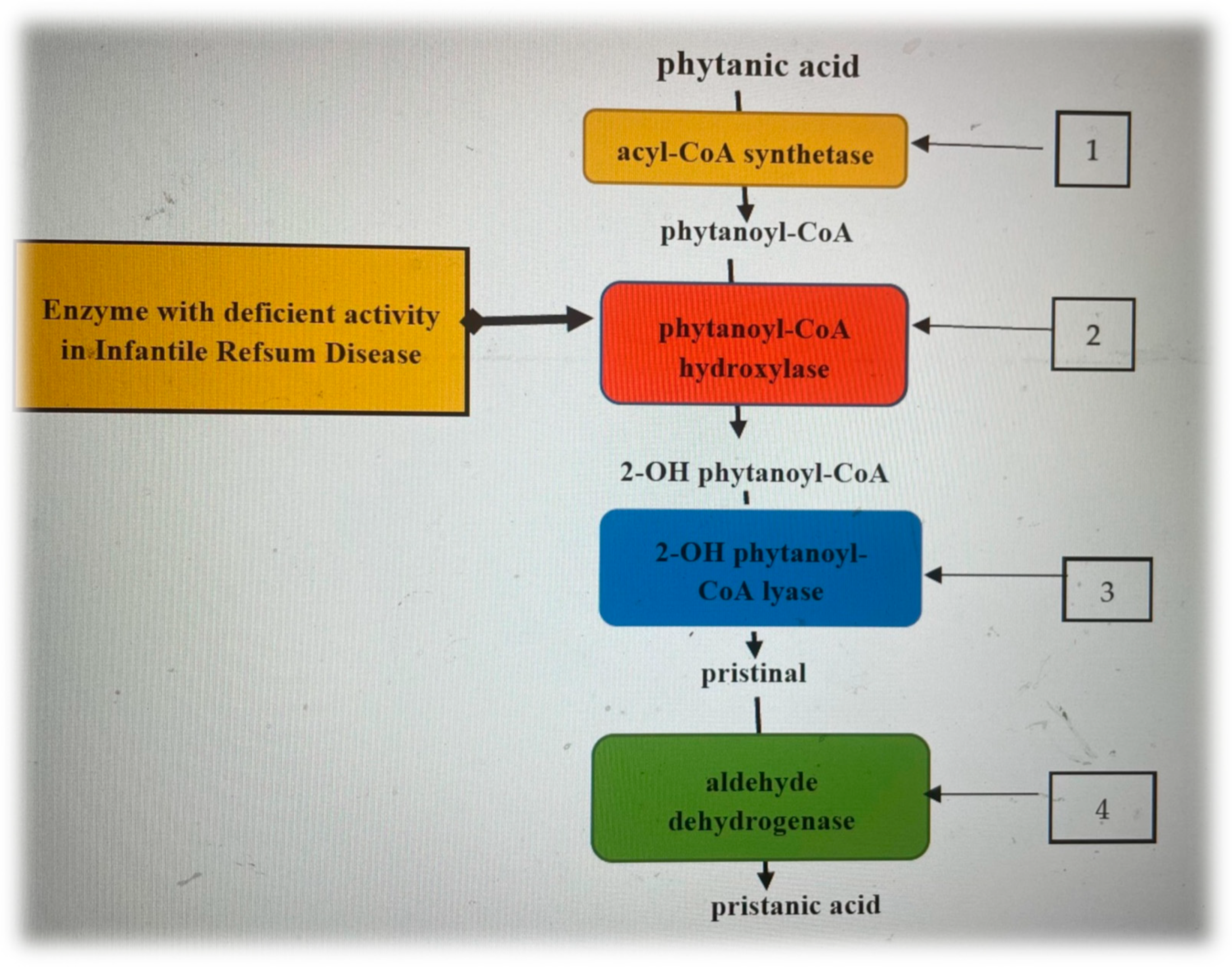 Children 10 00530 g001 Children 10 00530 g001