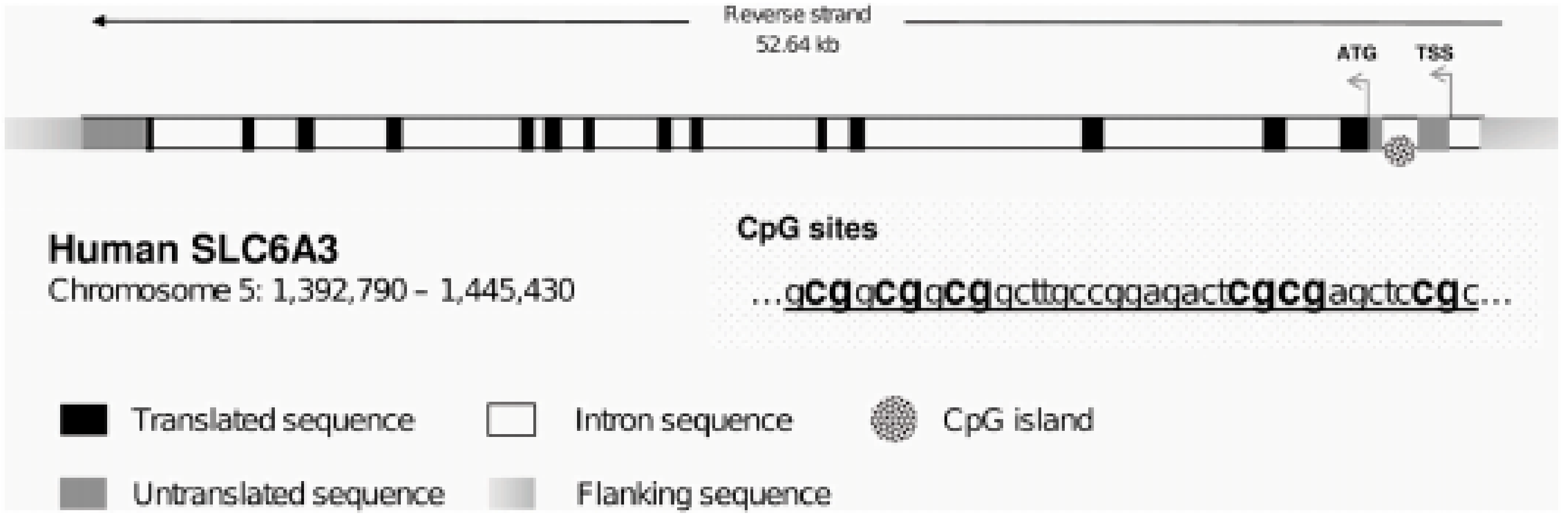 Children 10 00584 g001