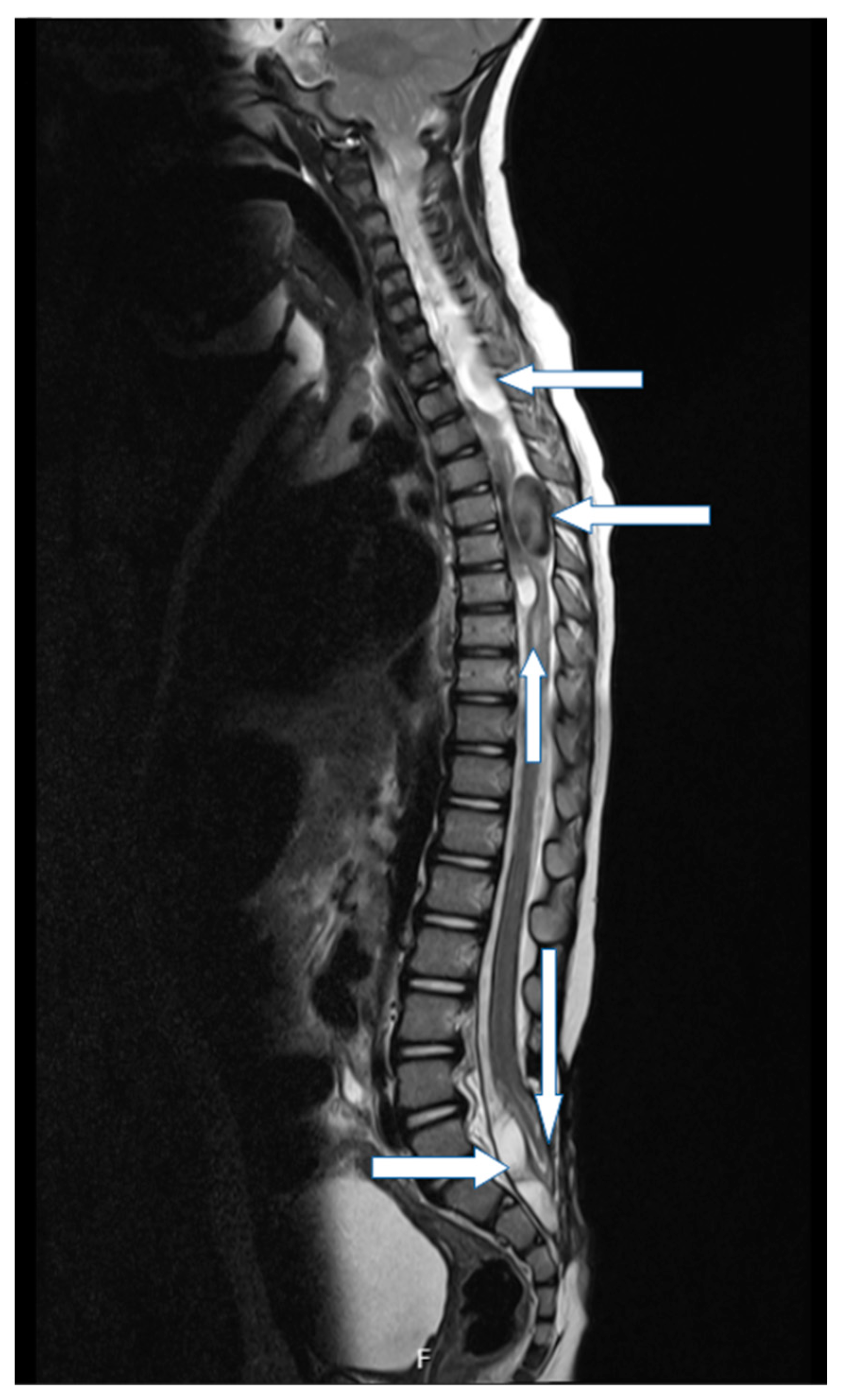 Children 10 00623 g003