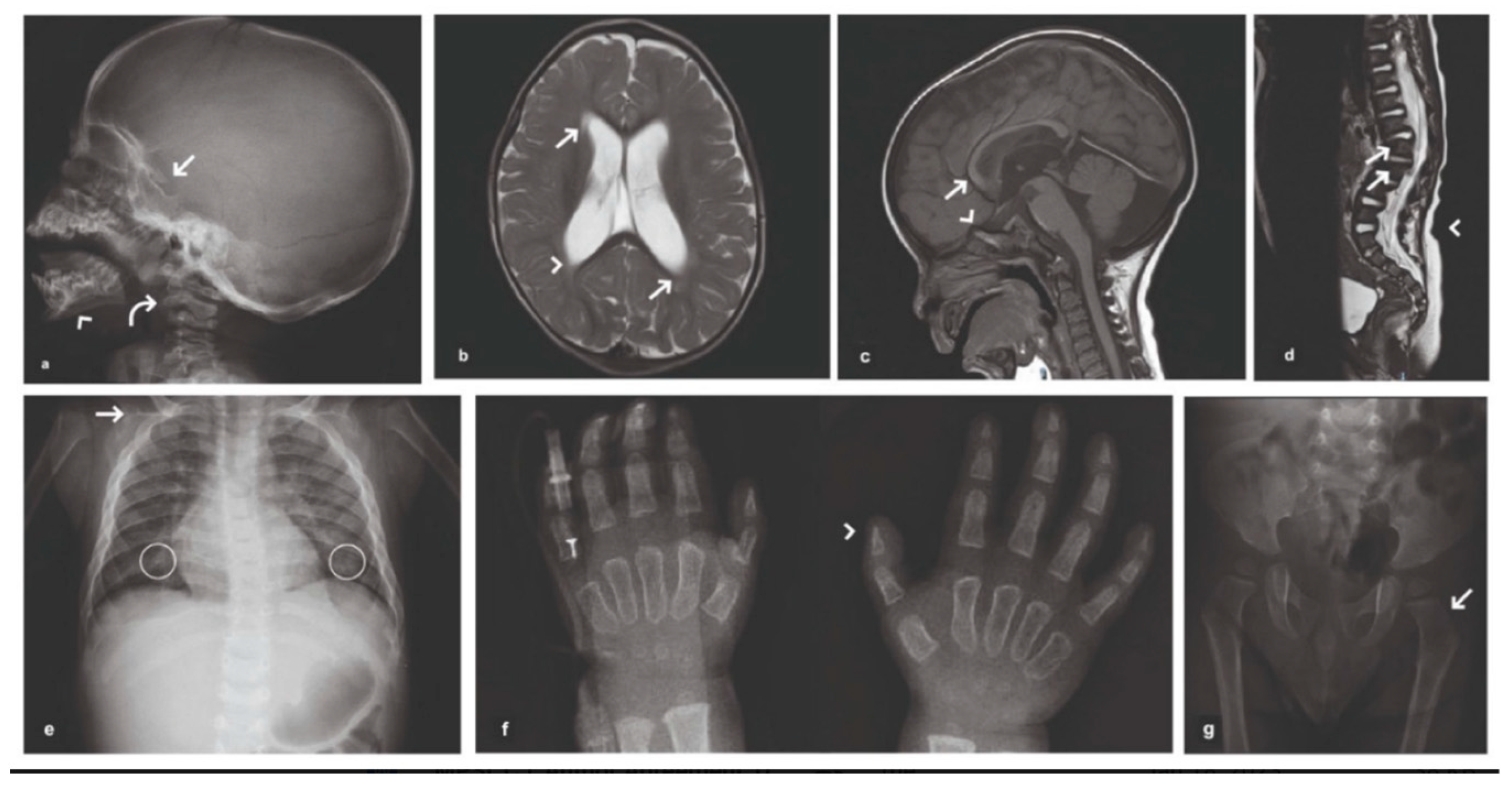 Children 10 00642 g002