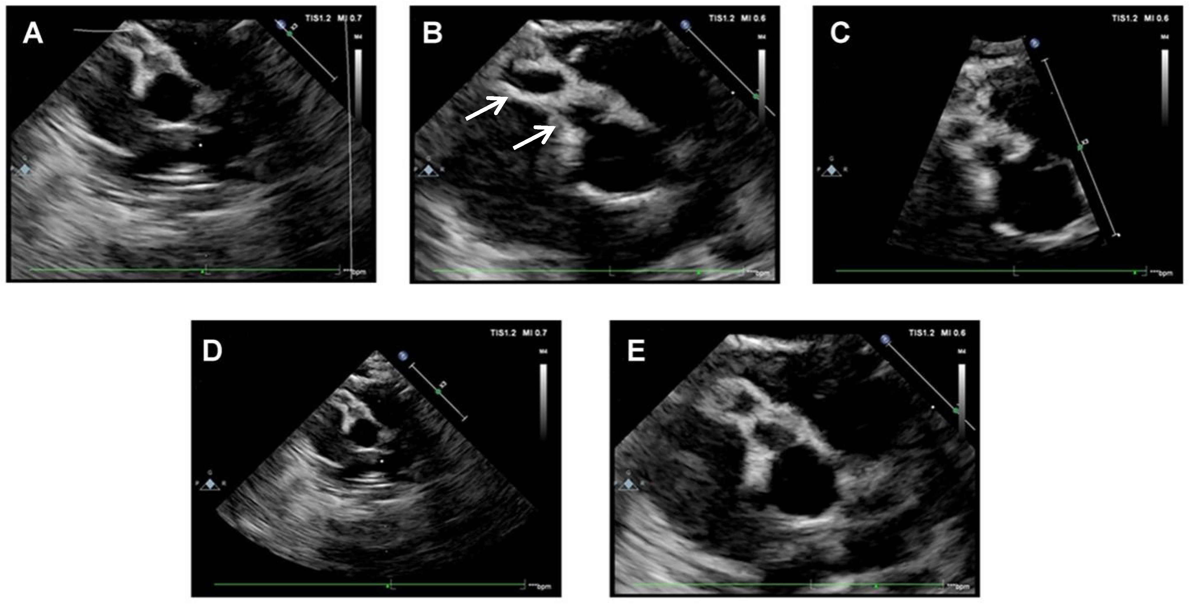 Children 10 00679 g003