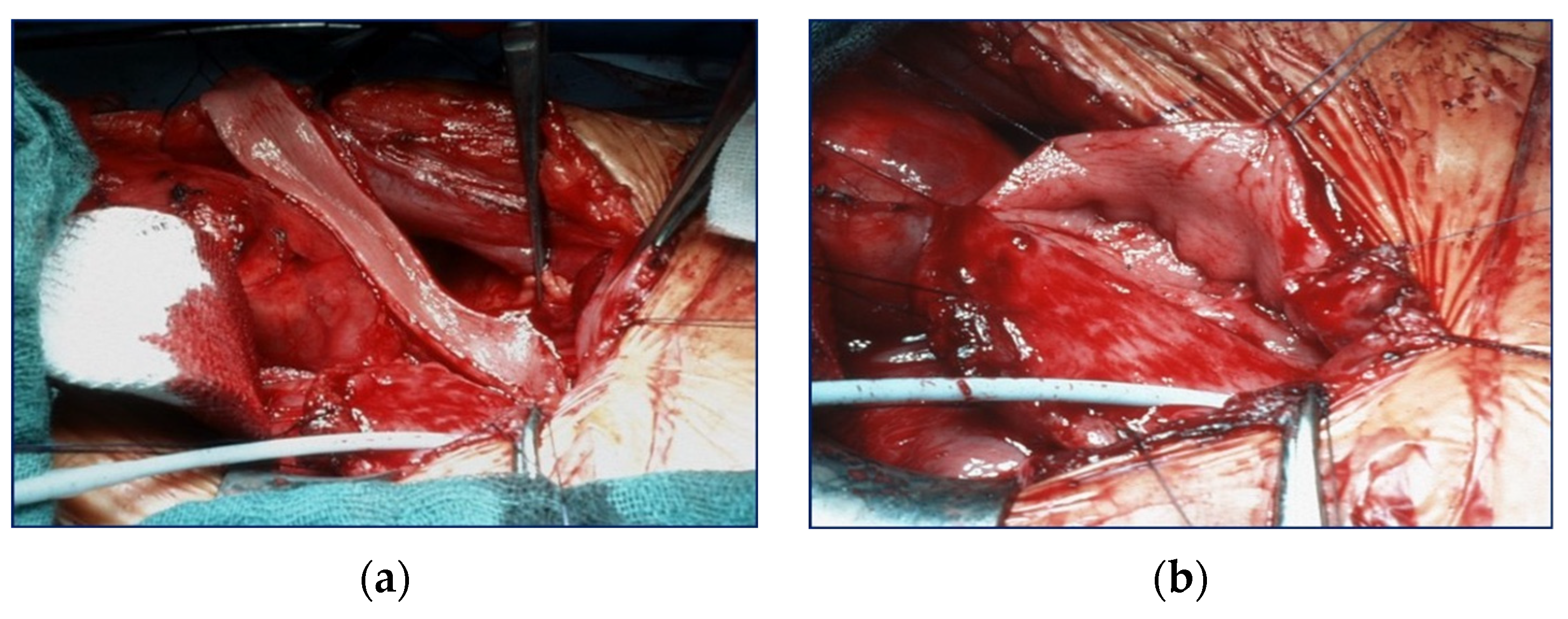 Children 10 00692 g001