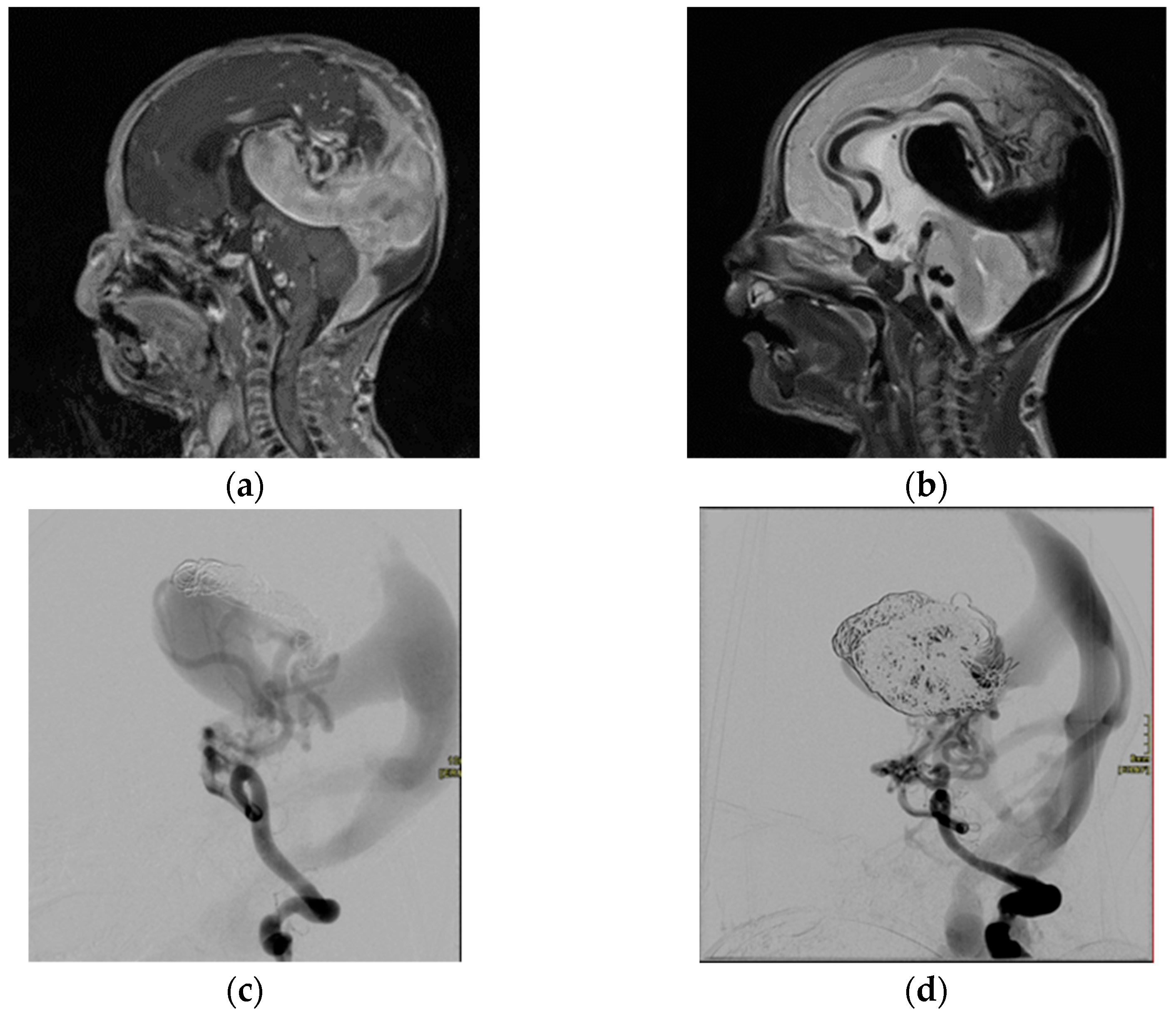 Children 10 00715 g002