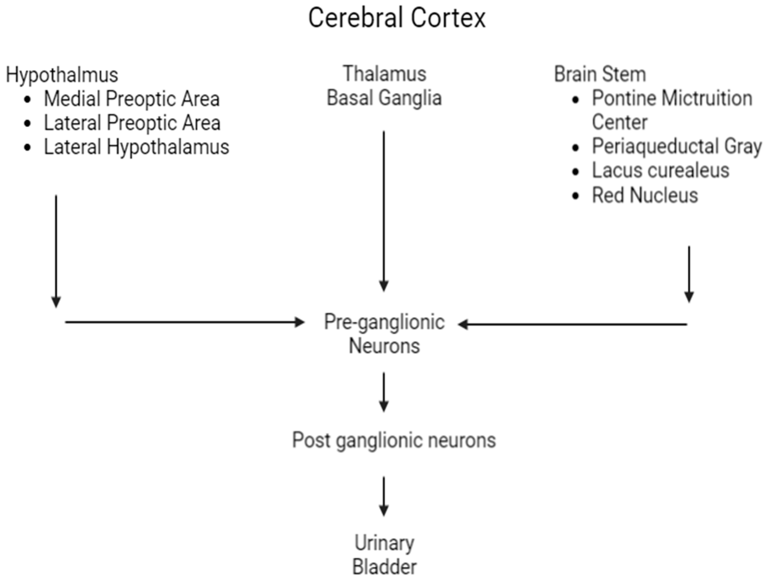 Children 10 00724 g003 Children 10 00724 g003