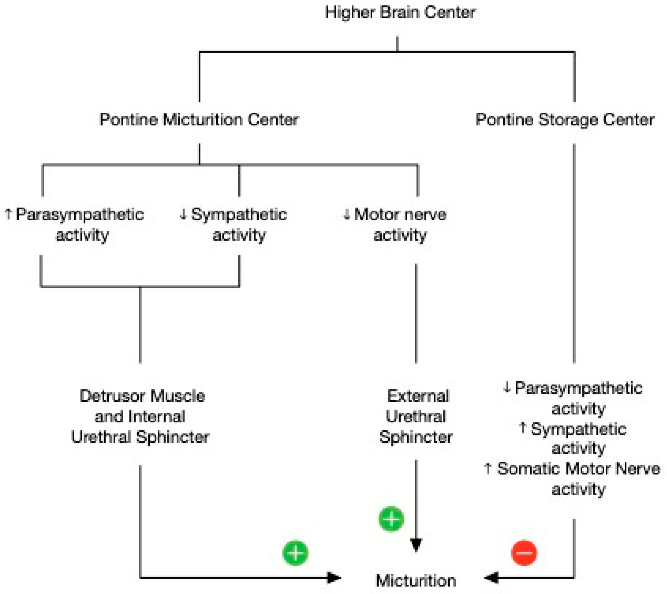 Children 10 00724 g004 Children 10 00724 g004
