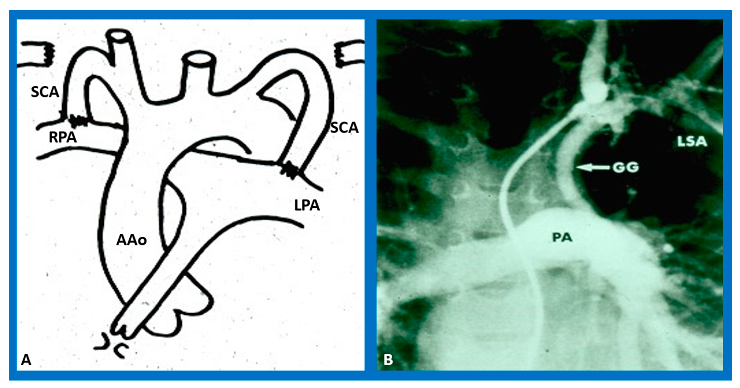 Children 10 00739 g001 Children 10 00739 g001
