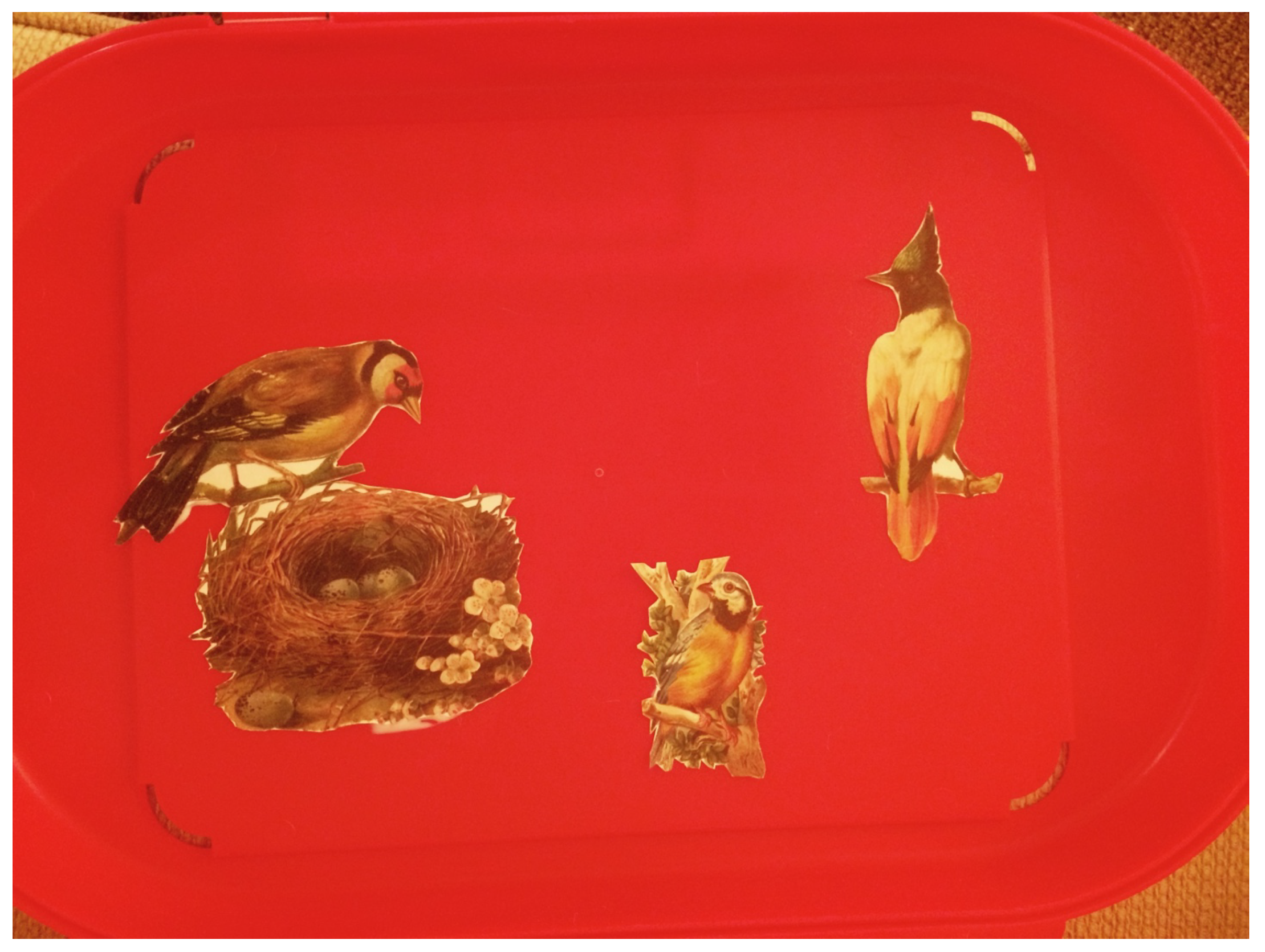 Children 10 00751 g009