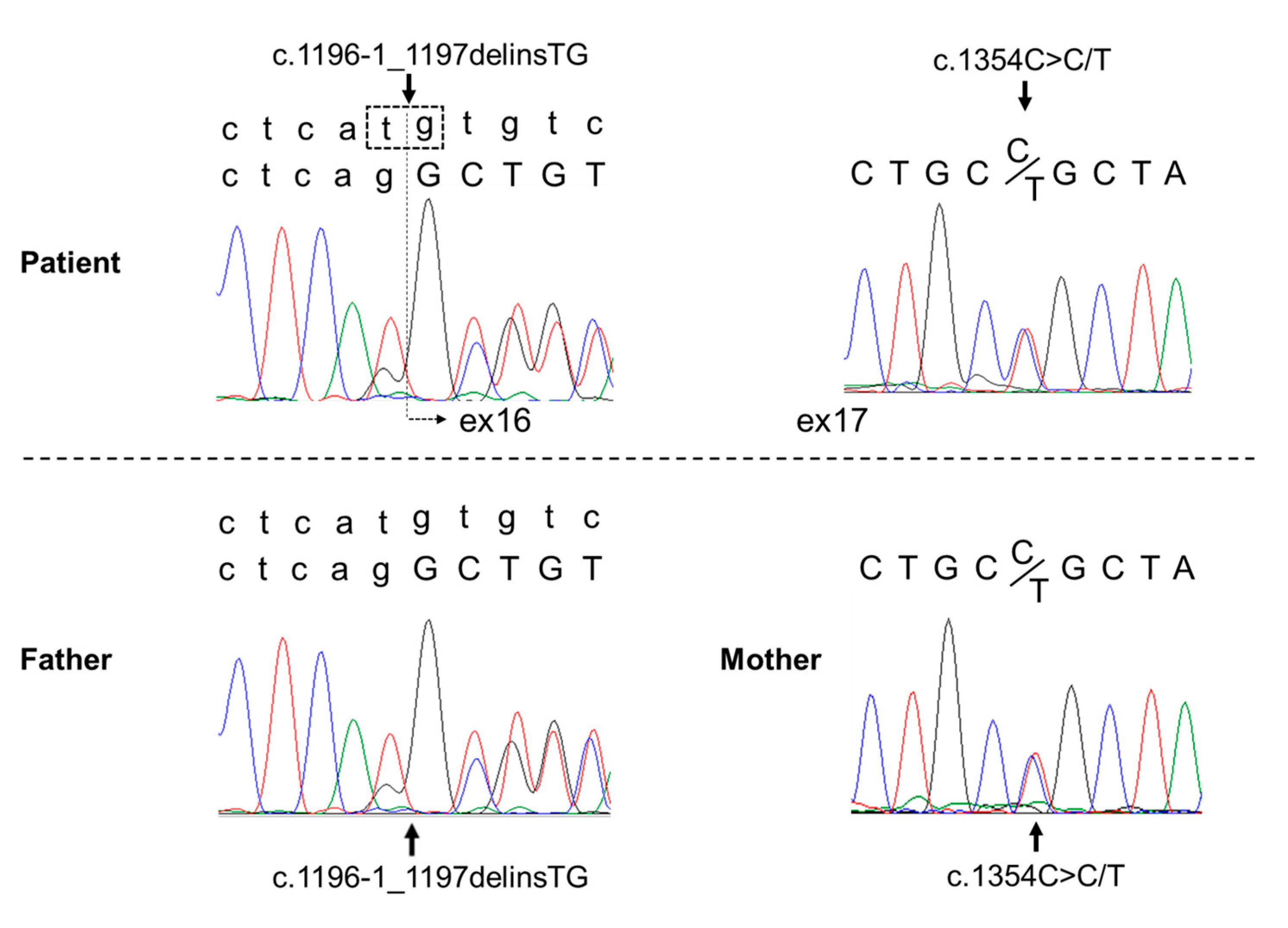 Children 10 00769 g003 Children 10 00769 g003
