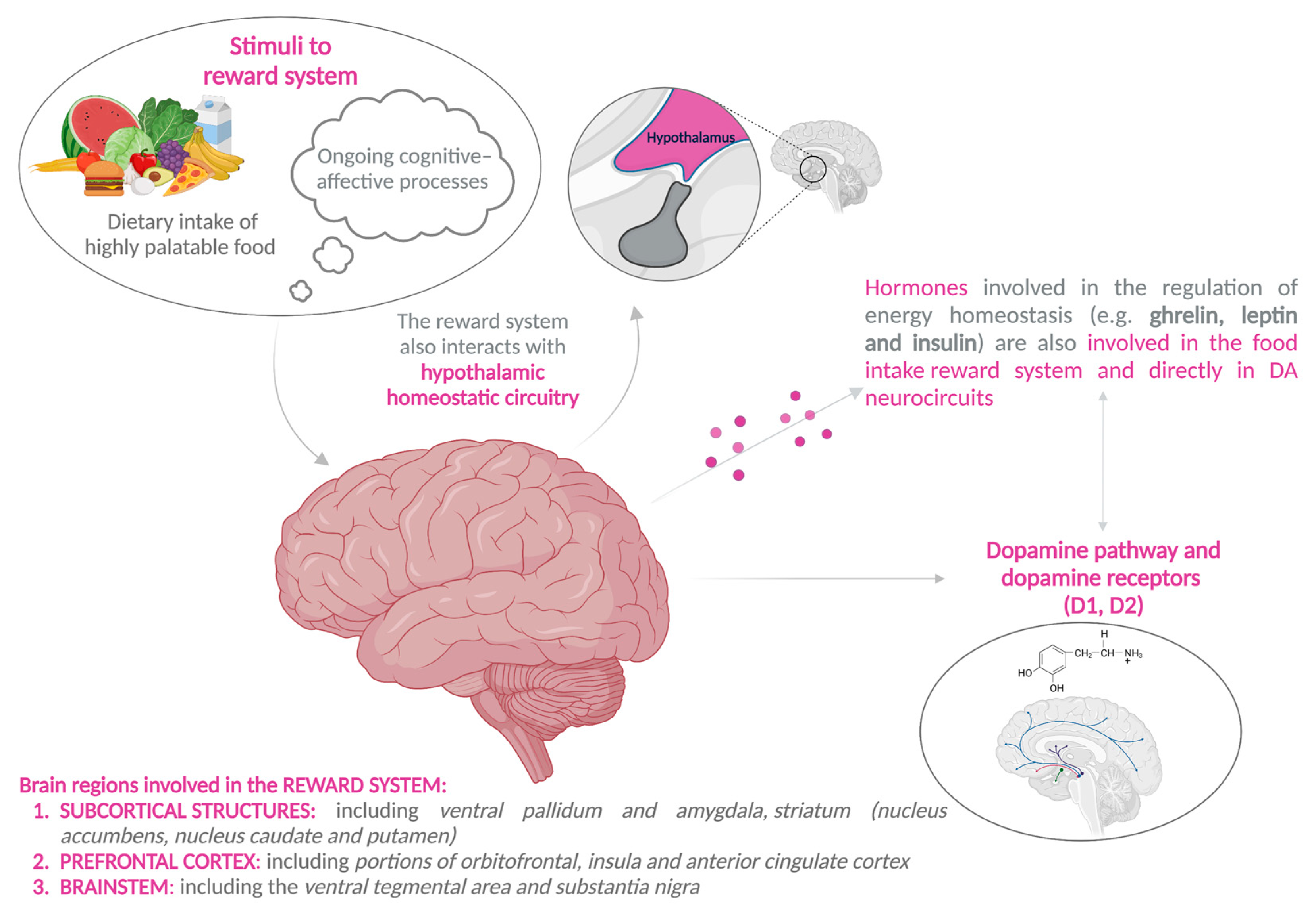 Children 10 00804 g002