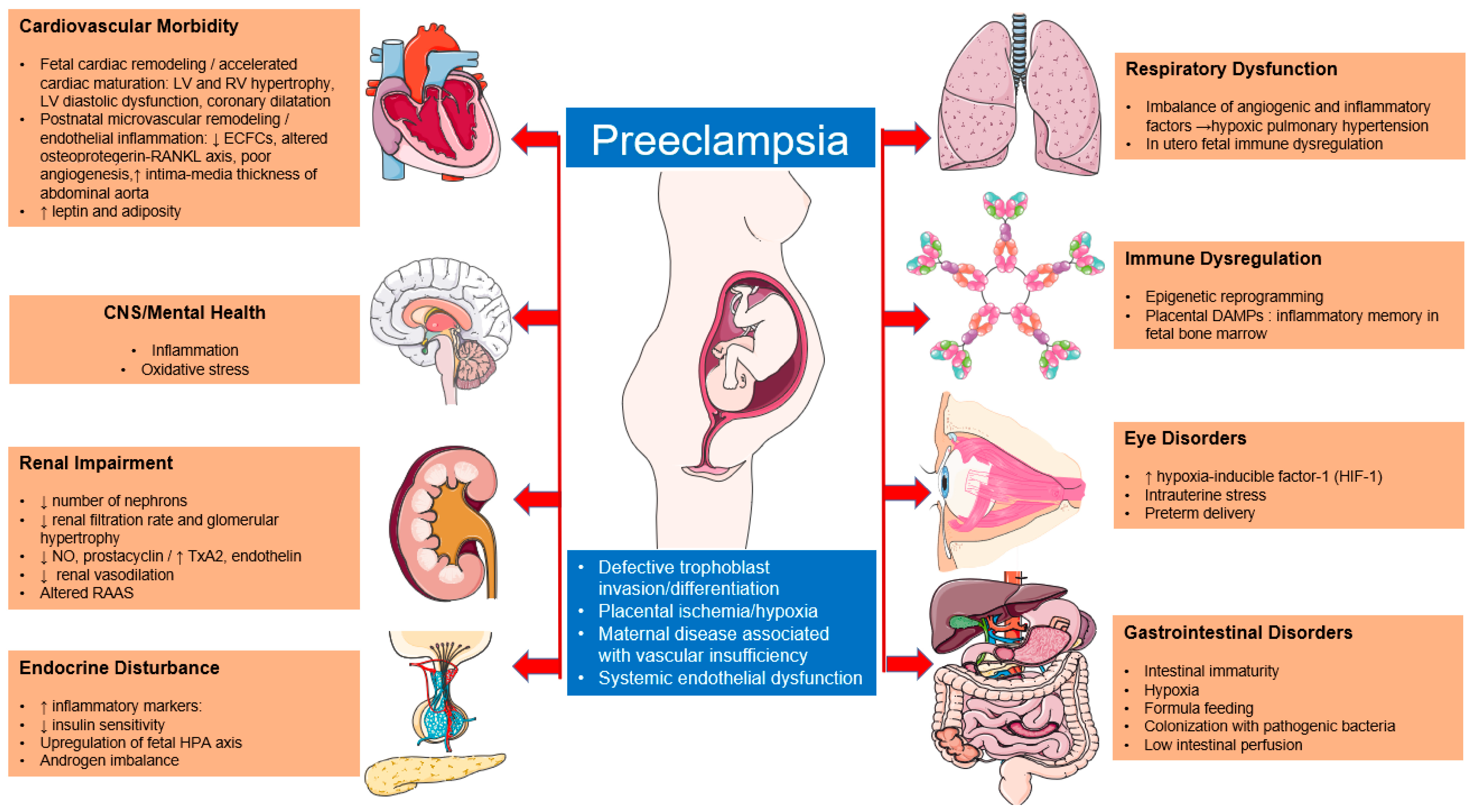 Hypertensive Disorders in Pregnancy Update April 2019