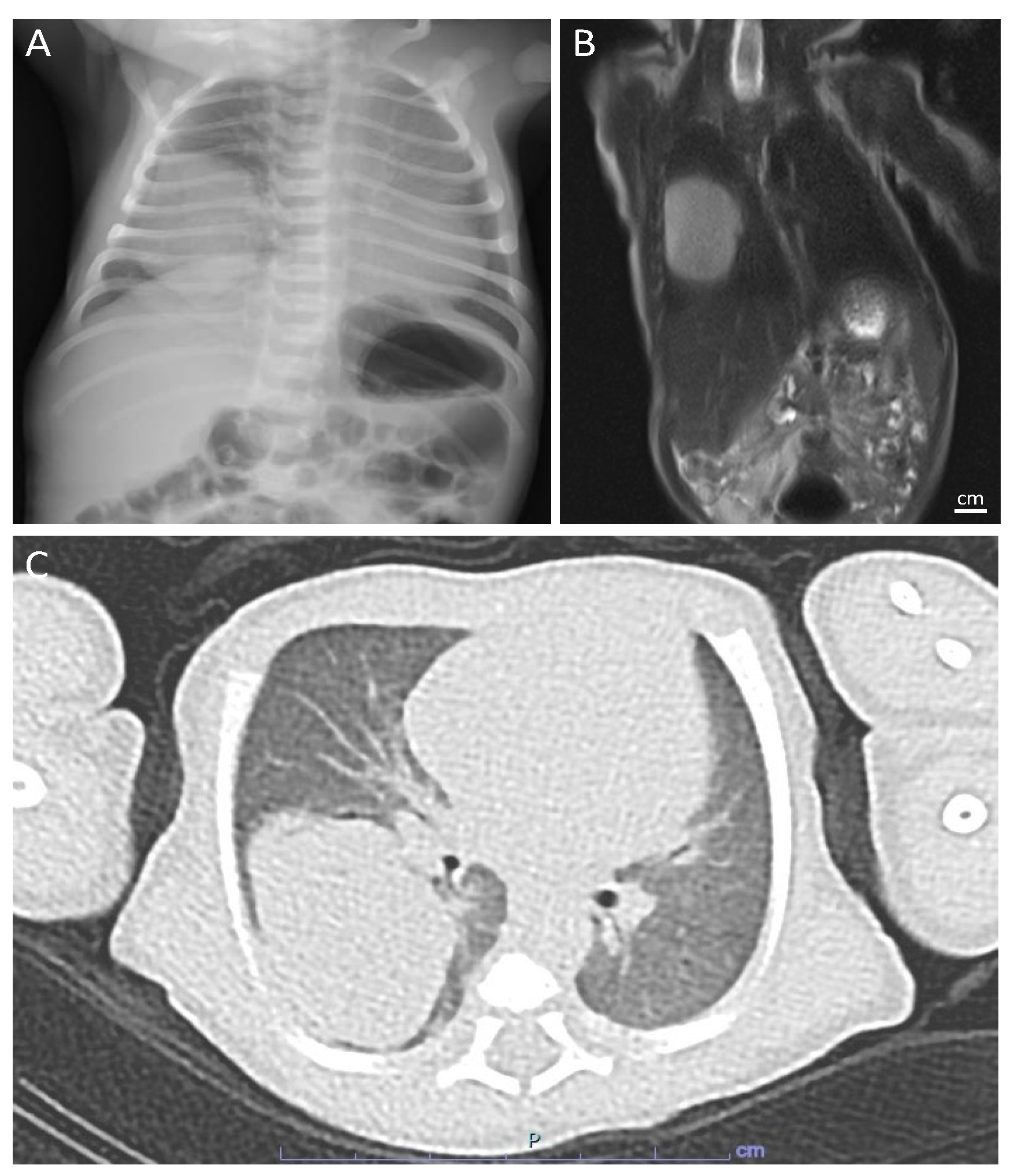 Children 10 00828 g003