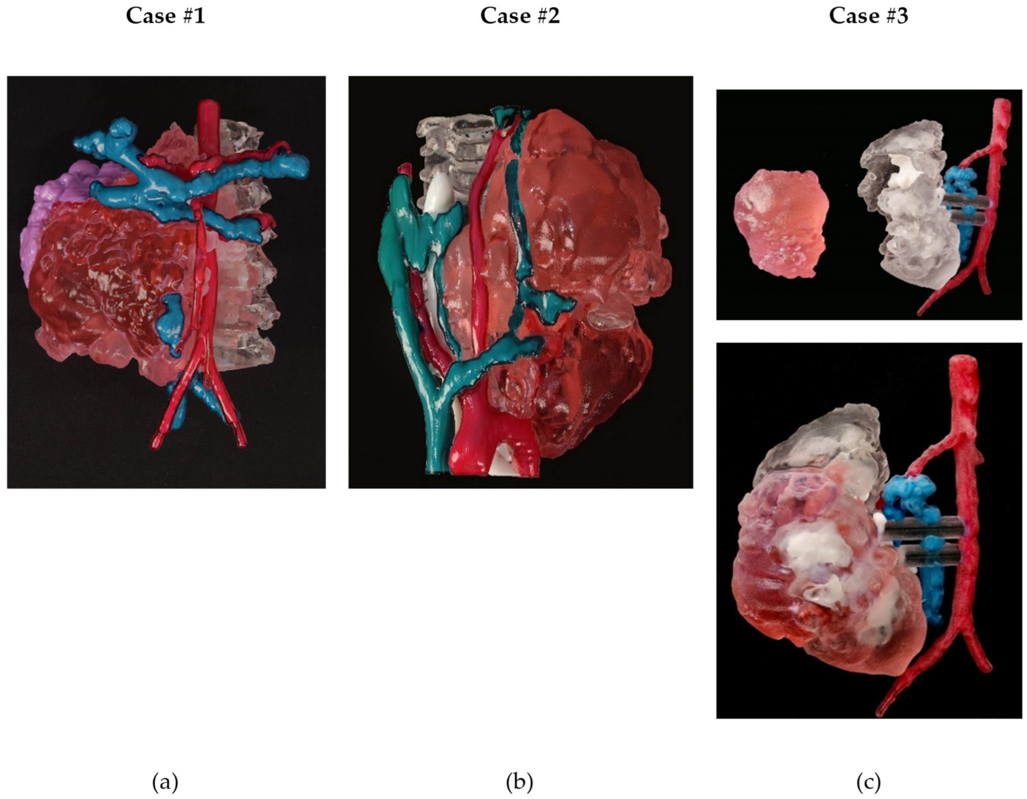 Children 10 00832 g009