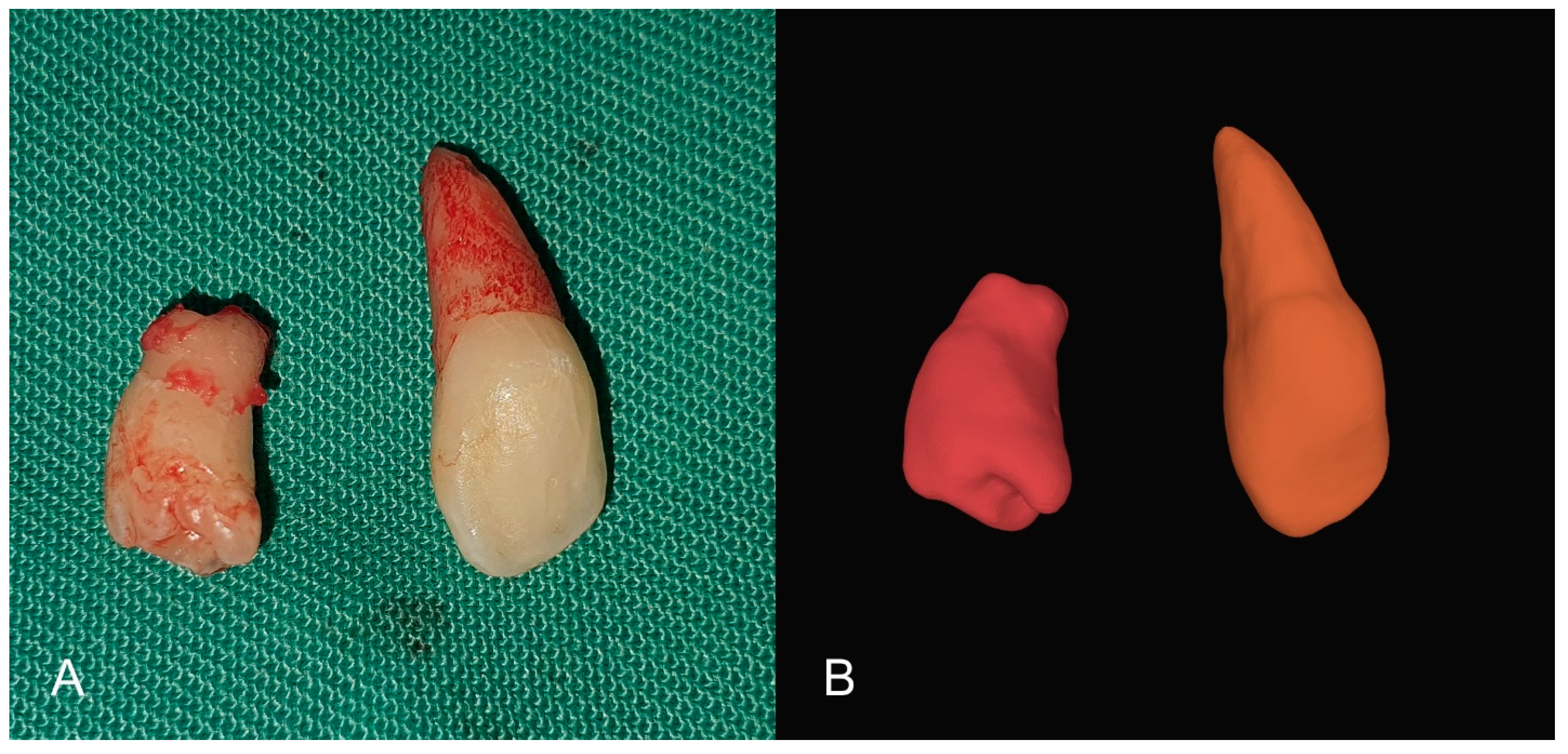 Children 10 00839 g004