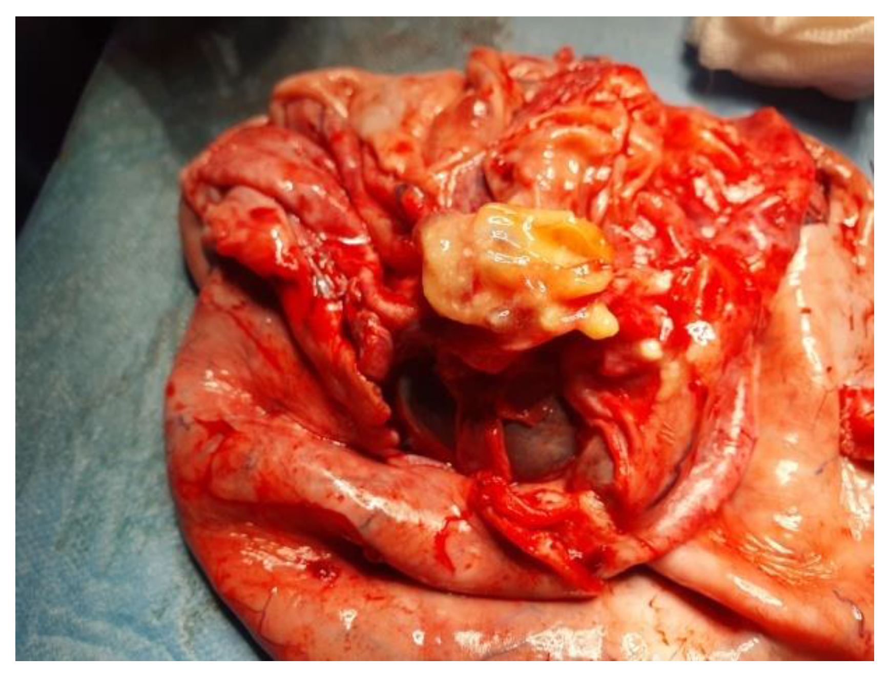 Children 10 00856 g005