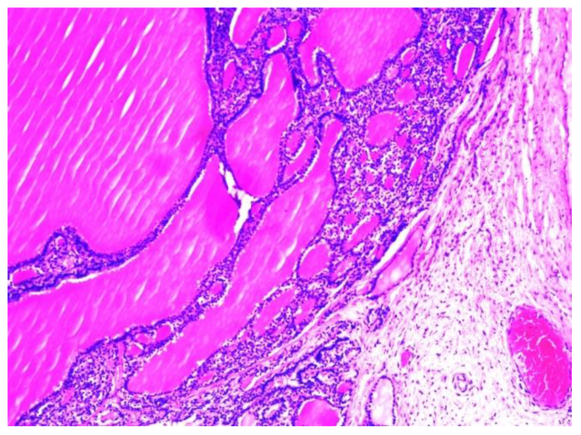 Children 10 00856 g006