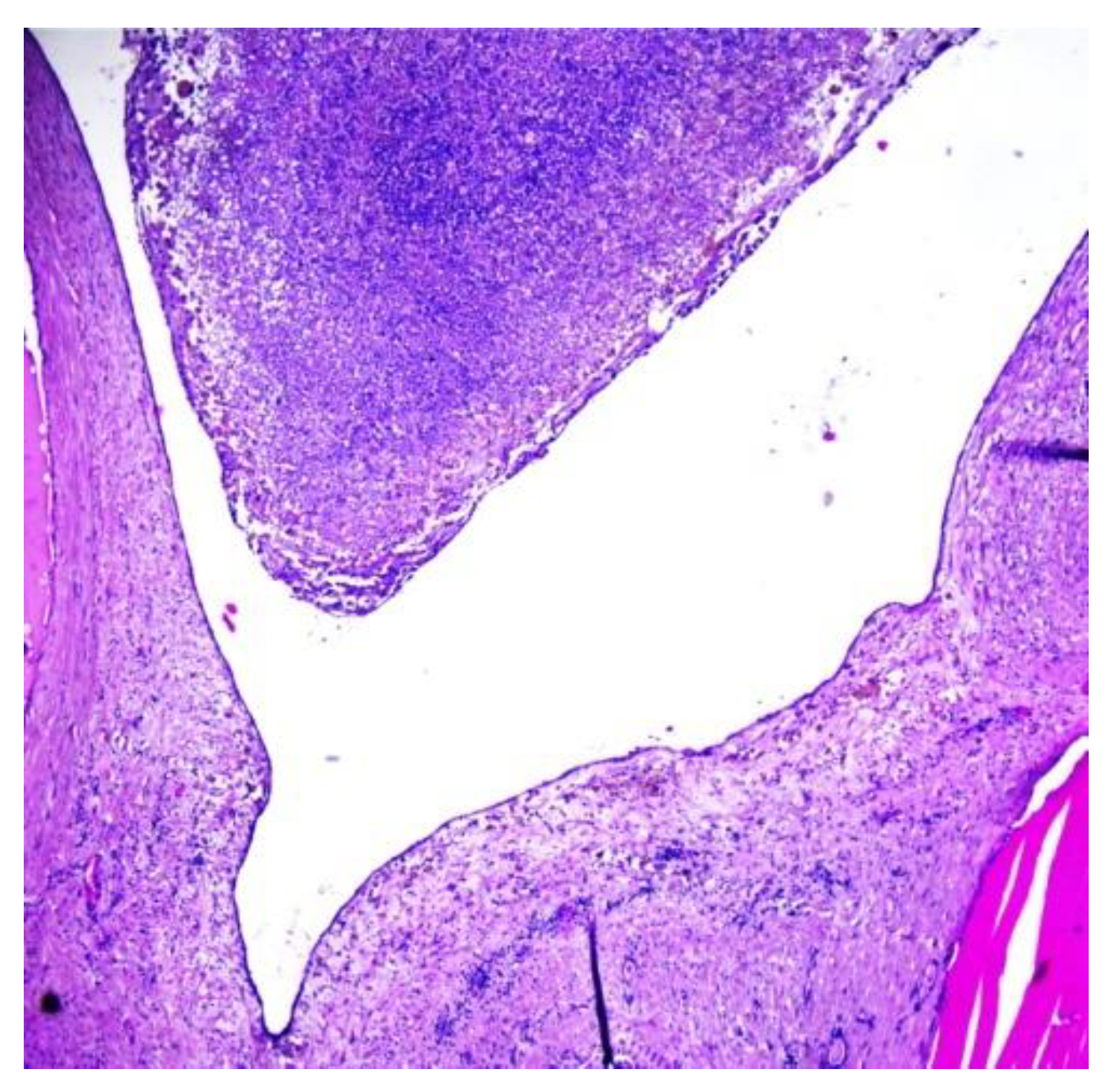 Children 10 00856 g007