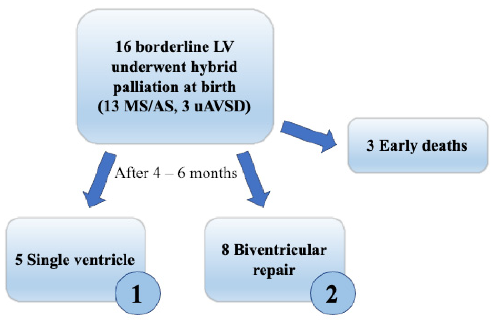 Children 10 00859 g002