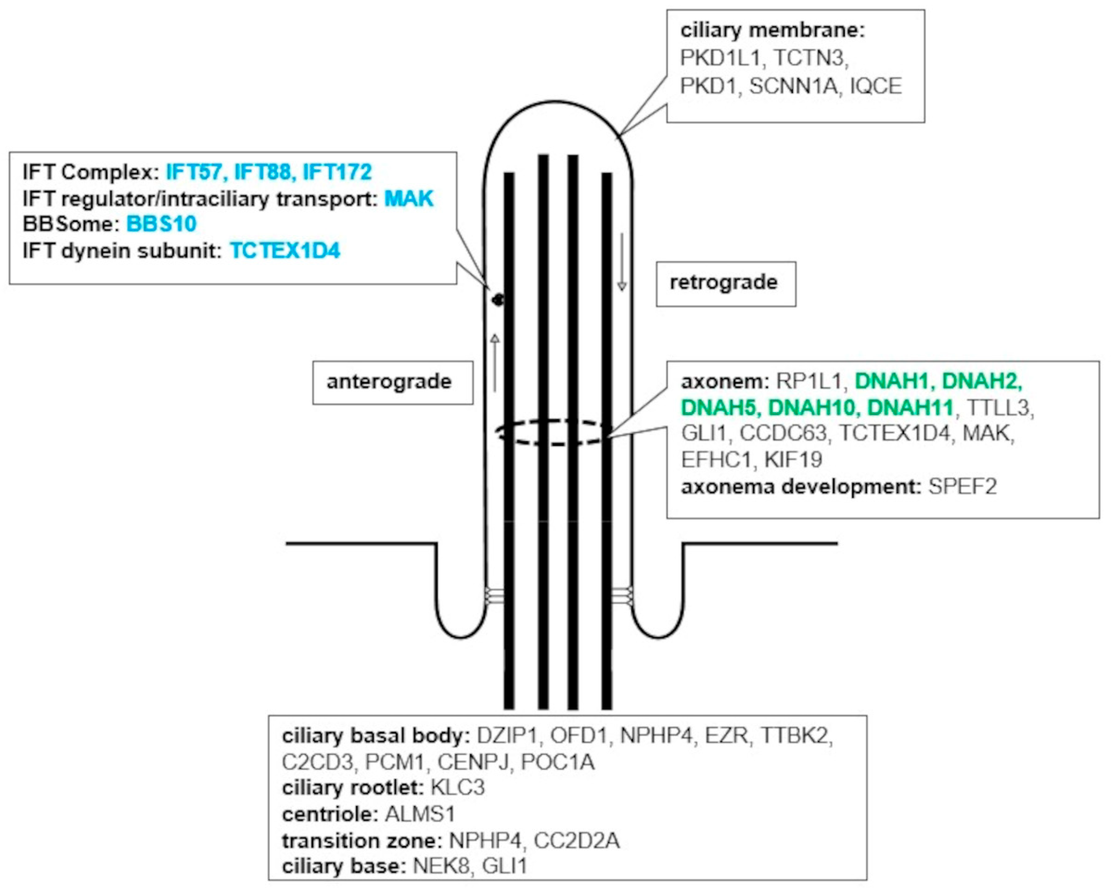 Children 10 00882 g002