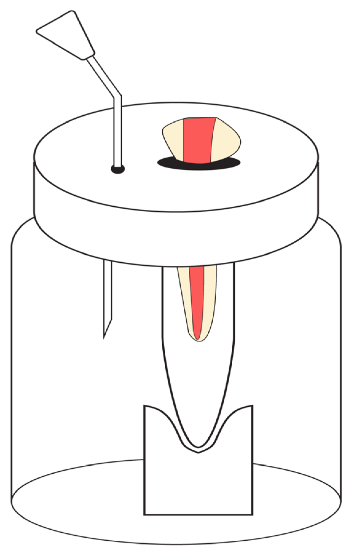 Children 10 00898 g001 Children 10 00898 g001