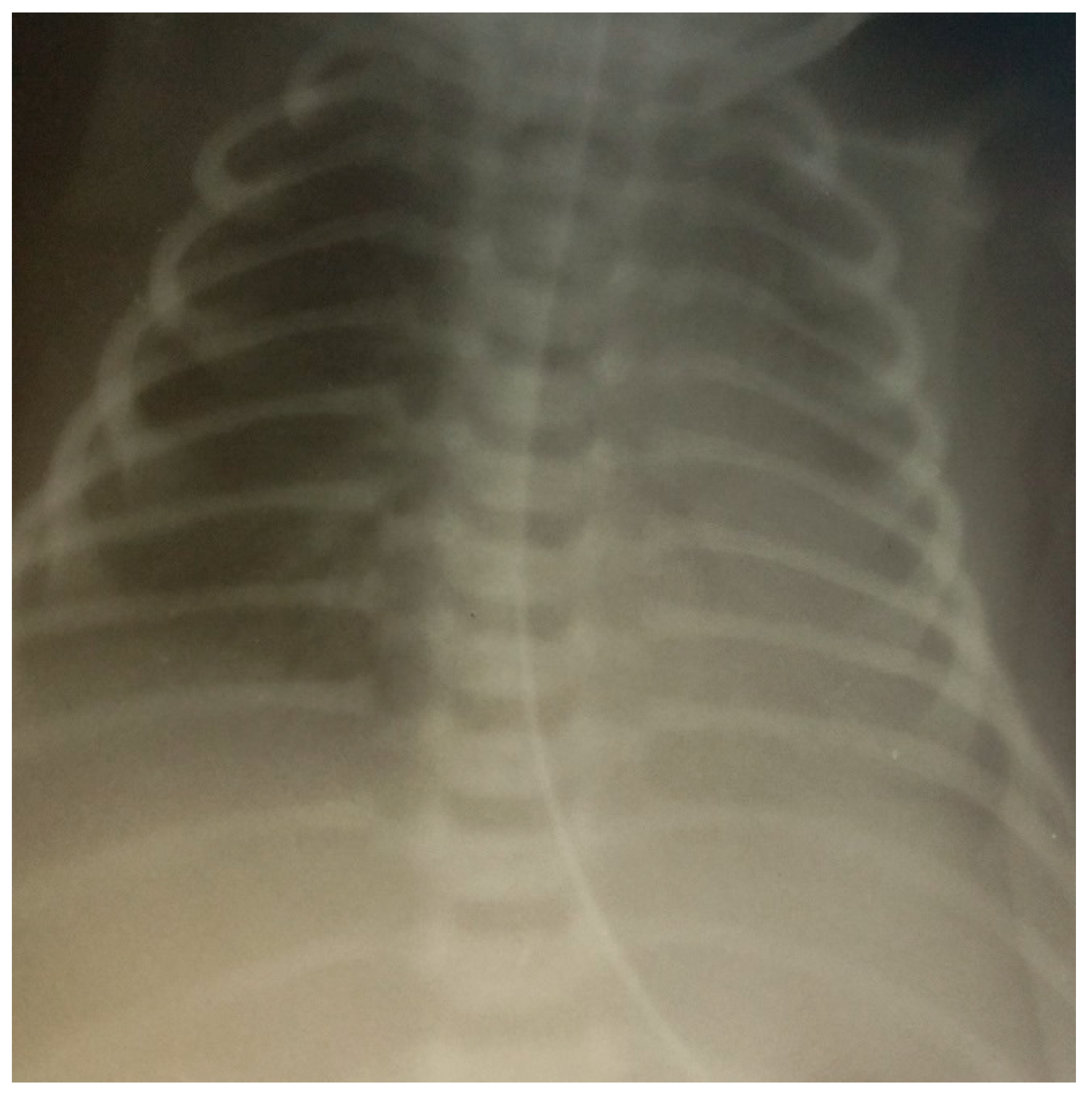 Children 10 00916 g001