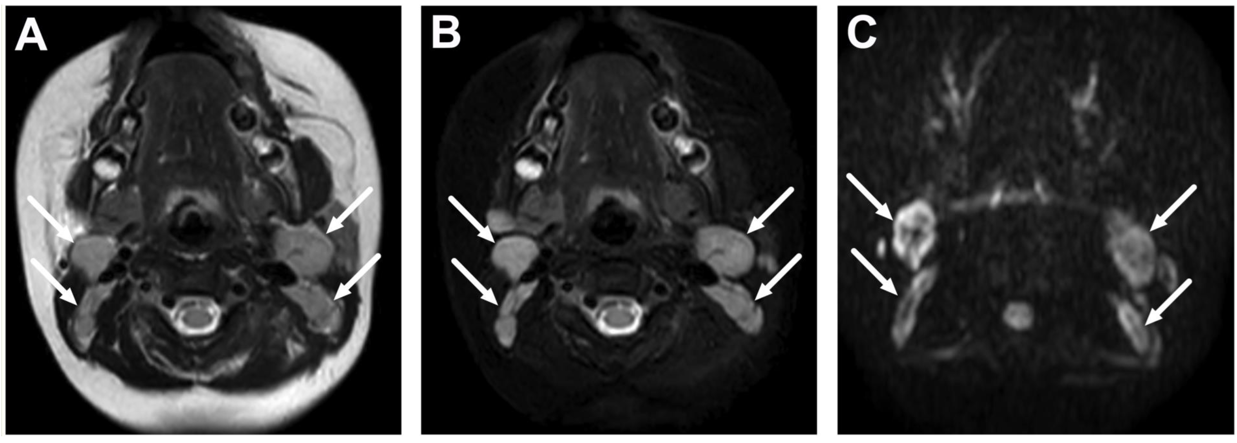 Children 10 00967 g002 Children 10 00967 g002