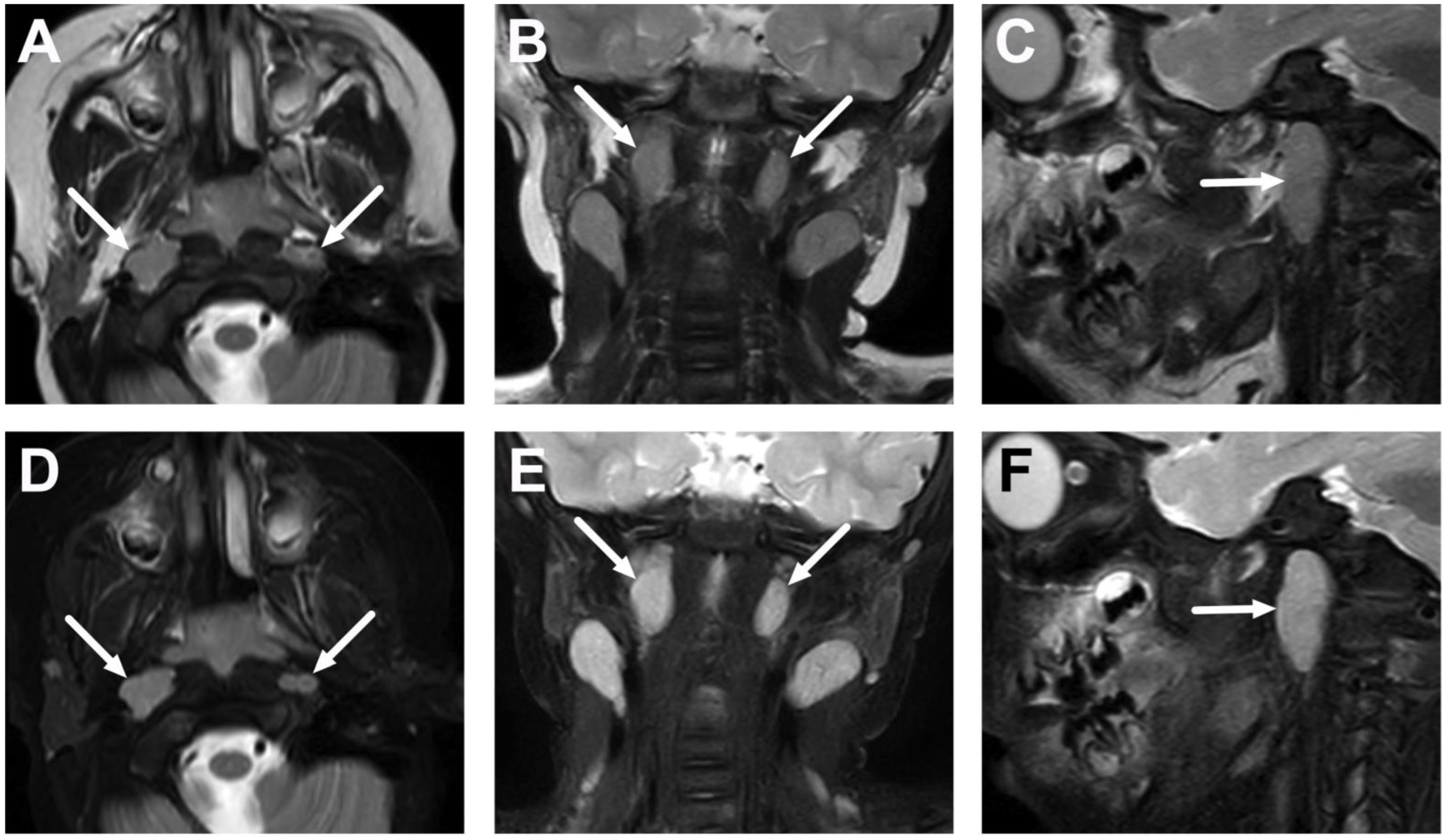 Children 10 00967 g003 Children 10 00967 g003