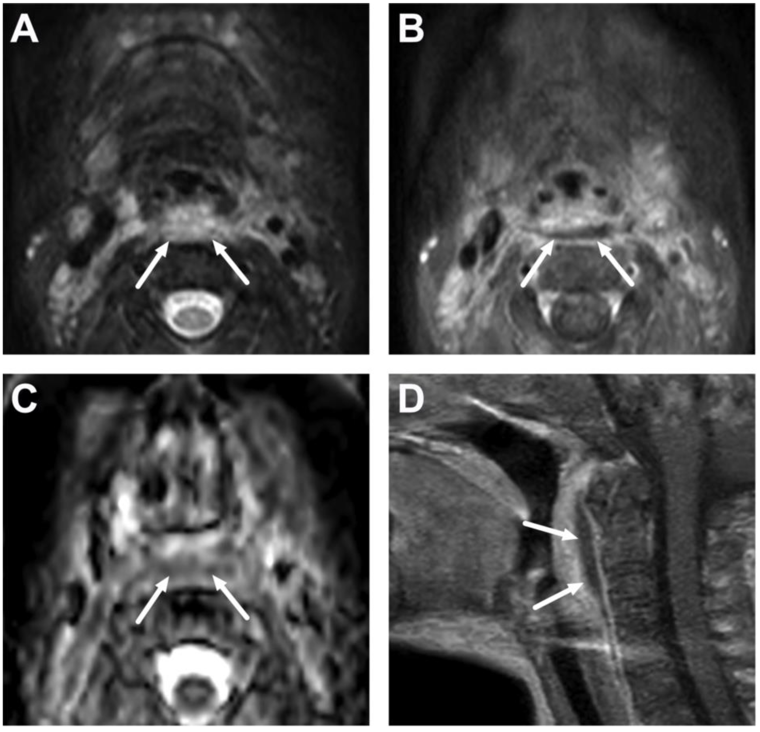 Children 10 00967 g013 Children 10 00967 g013