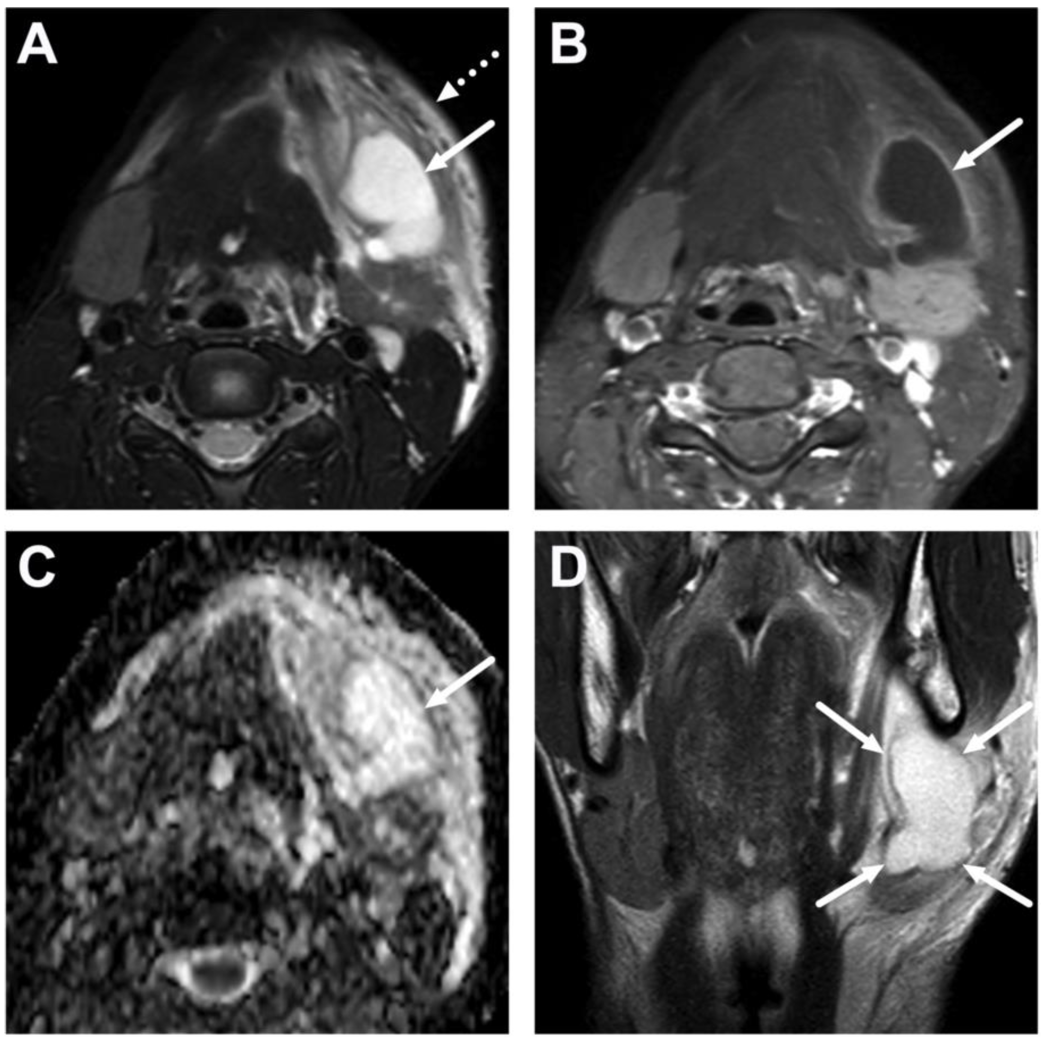 Children 10 00967 g021 Children 10 00967 g021