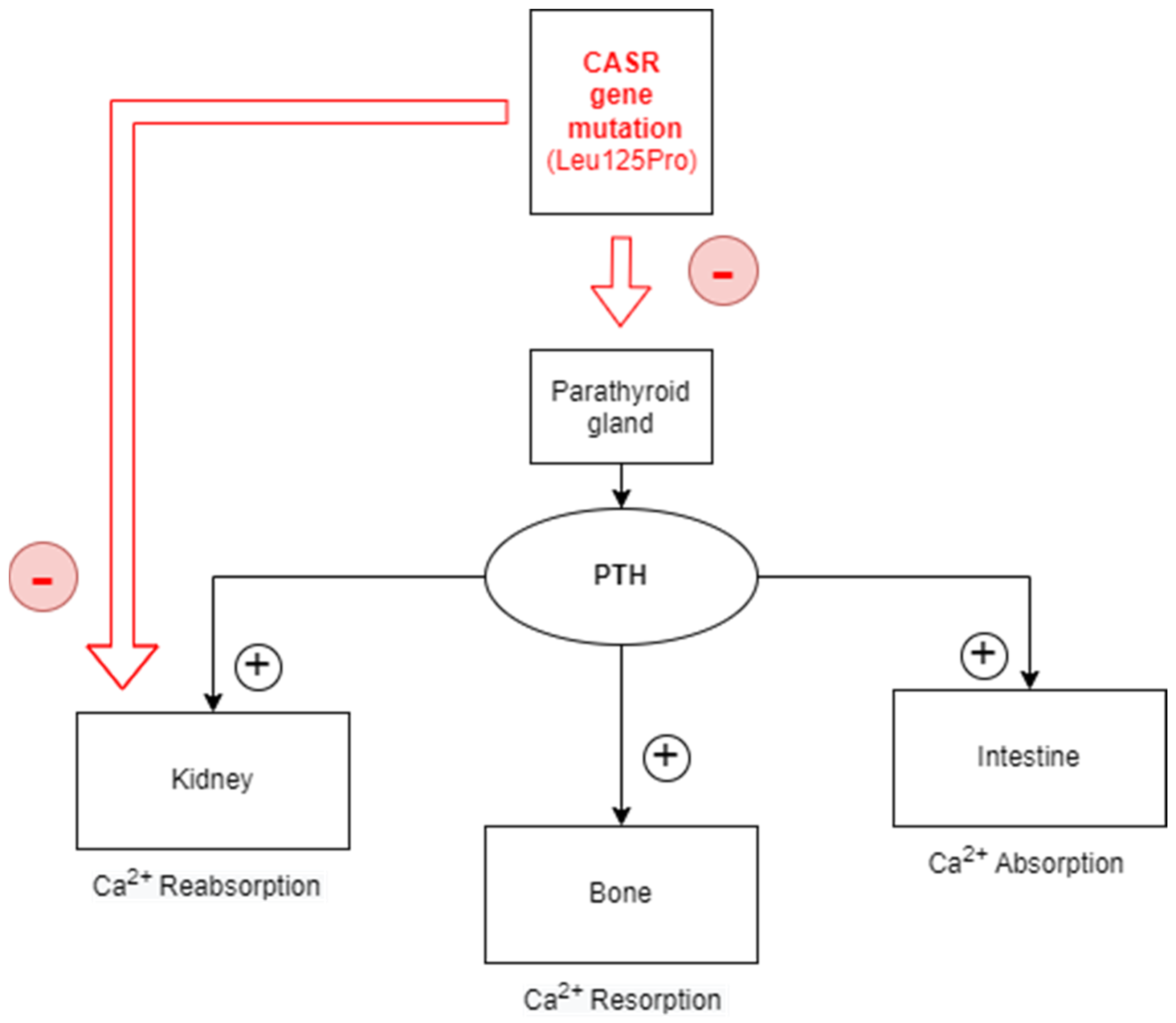 Children 10 01011 g001 Children 10 01011 g001