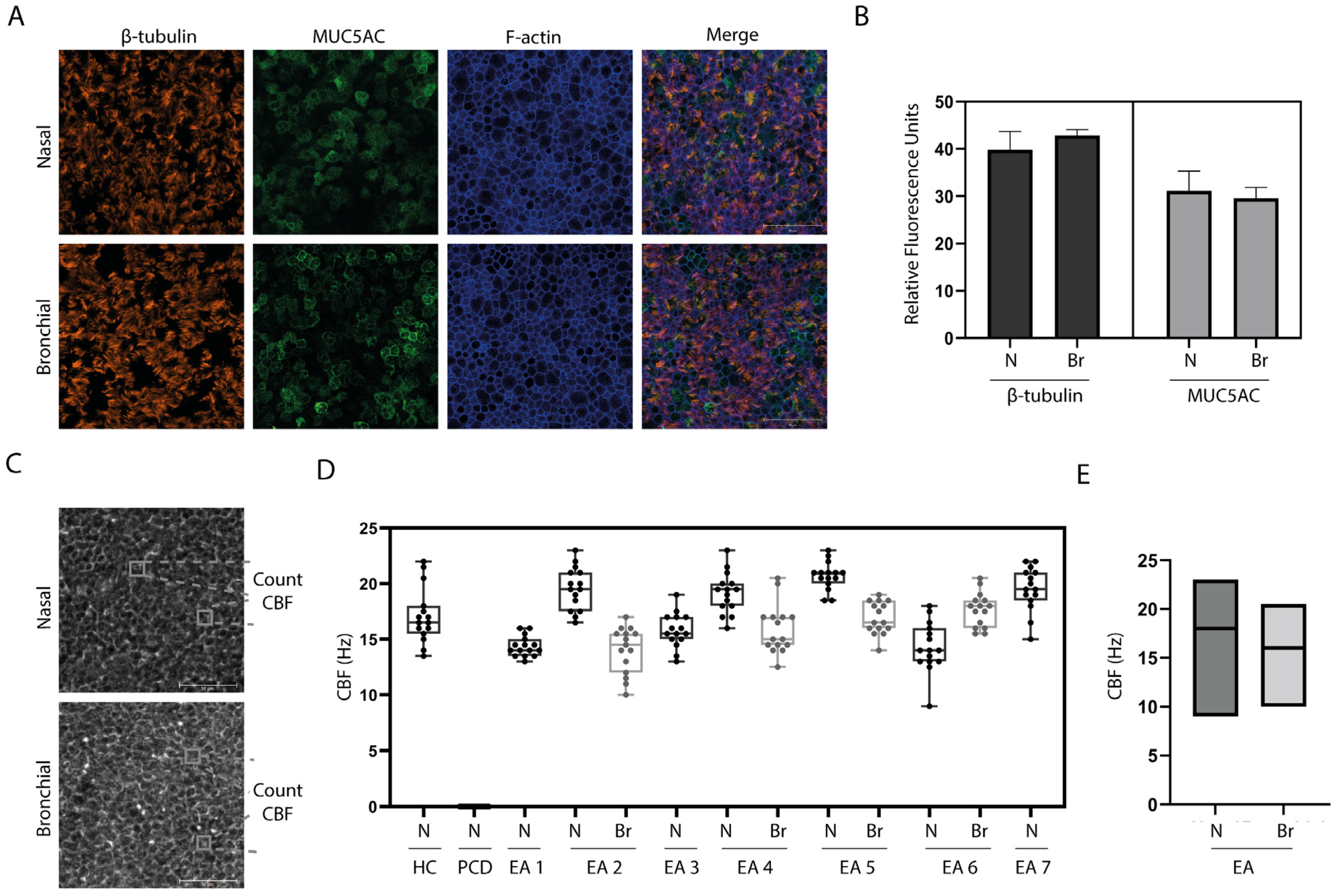 Children 10 01020 g002 Children 10 01020 g002