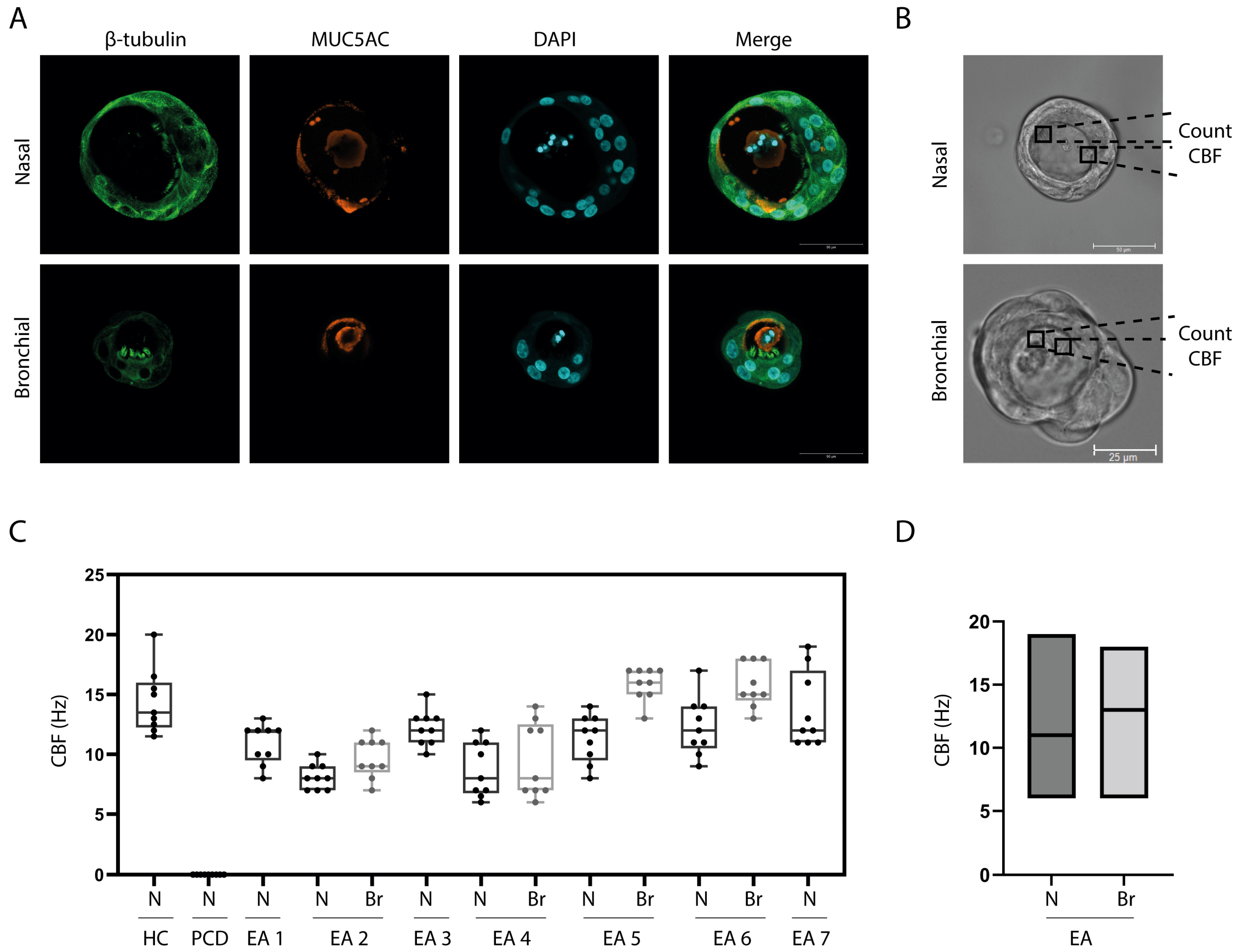 Children 10 01020 g003 Children 10 01020 g003