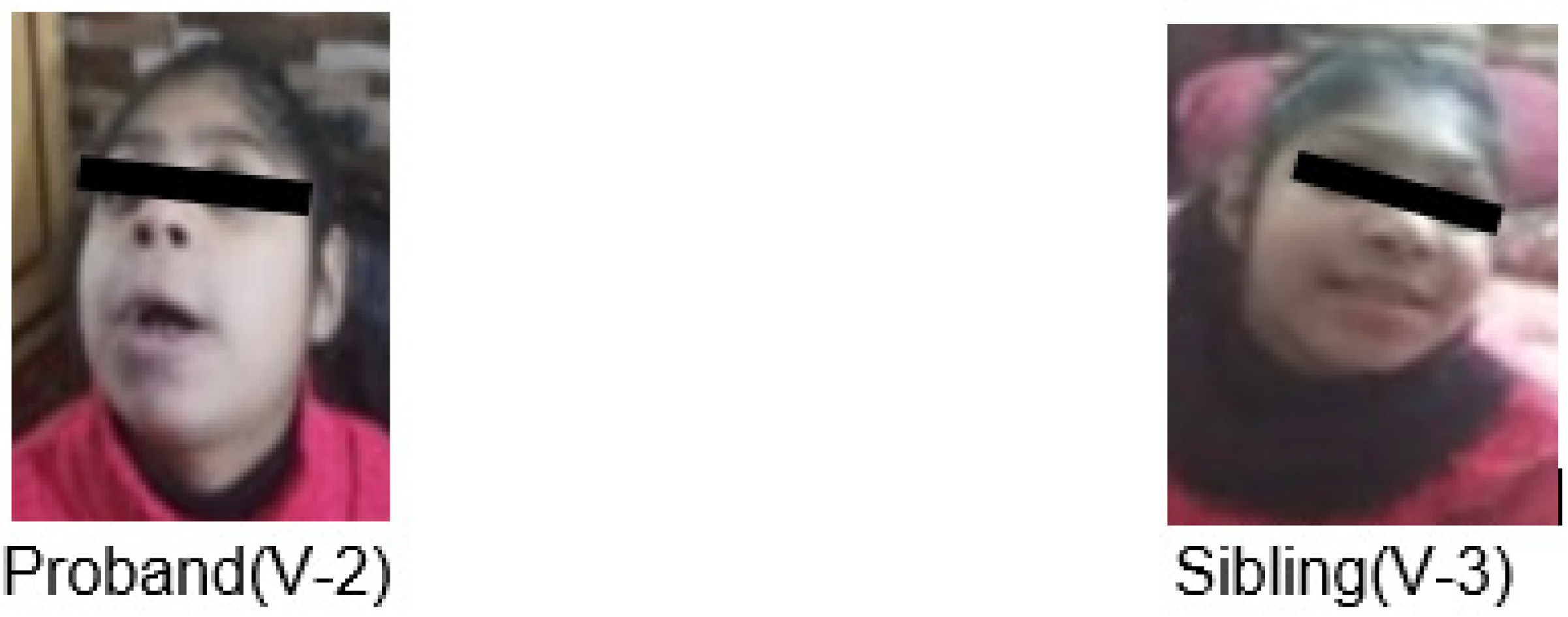 Children 10 01027 g001 Children 10 01027 g001