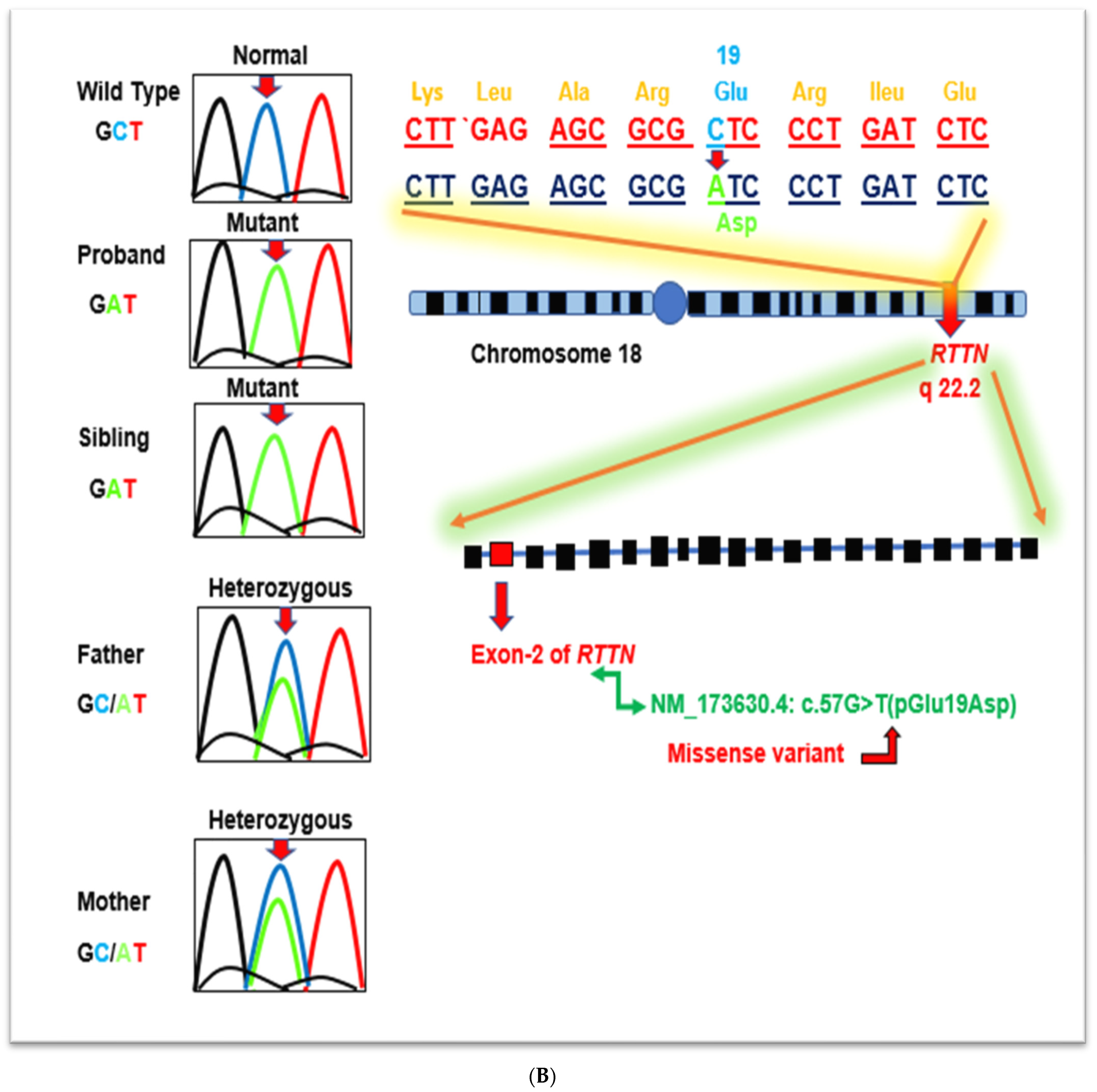 Children 10 01027 g002b Children 10 01027 g002b