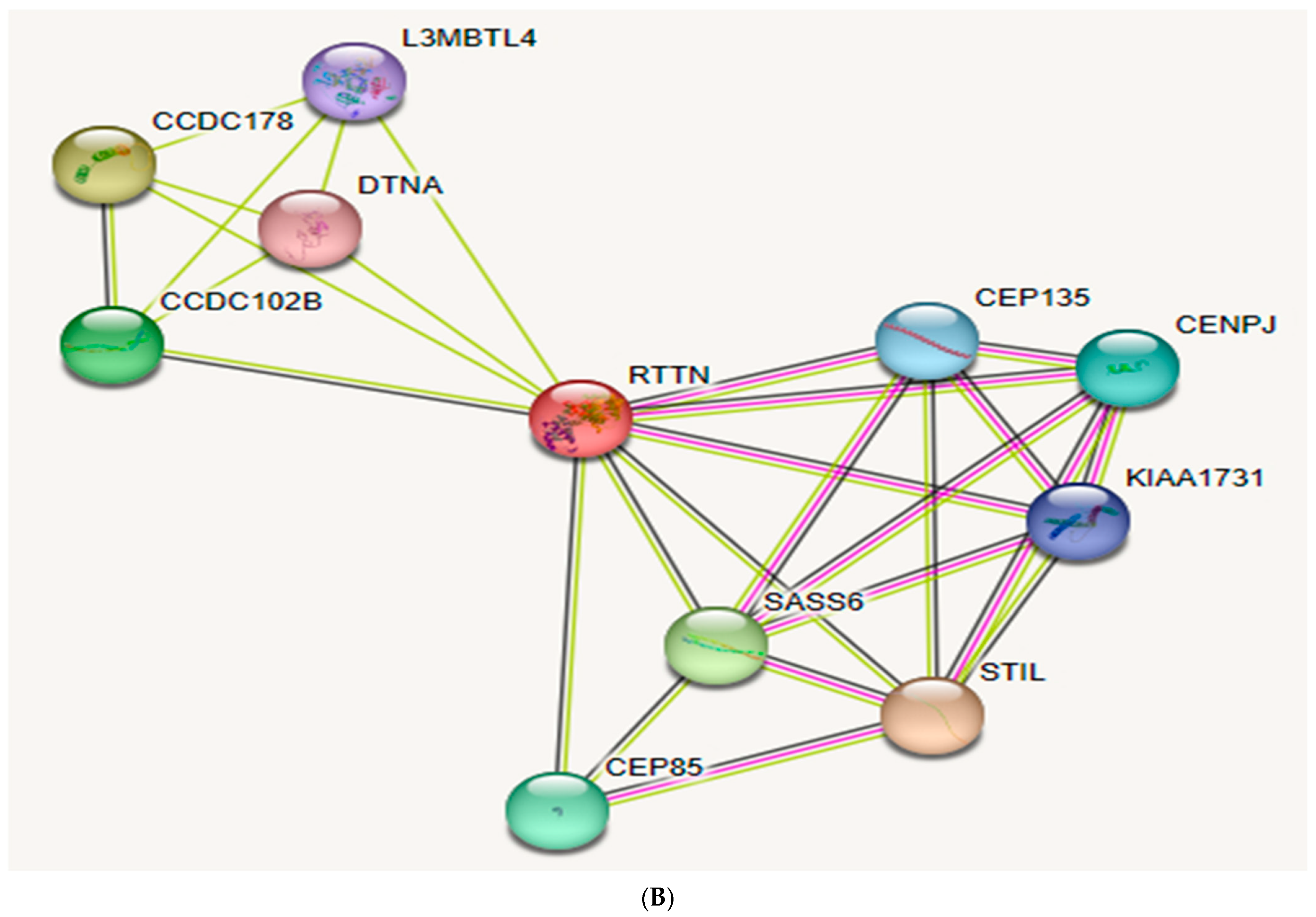 Children 10 01027 g003b Children 10 01027 g003b