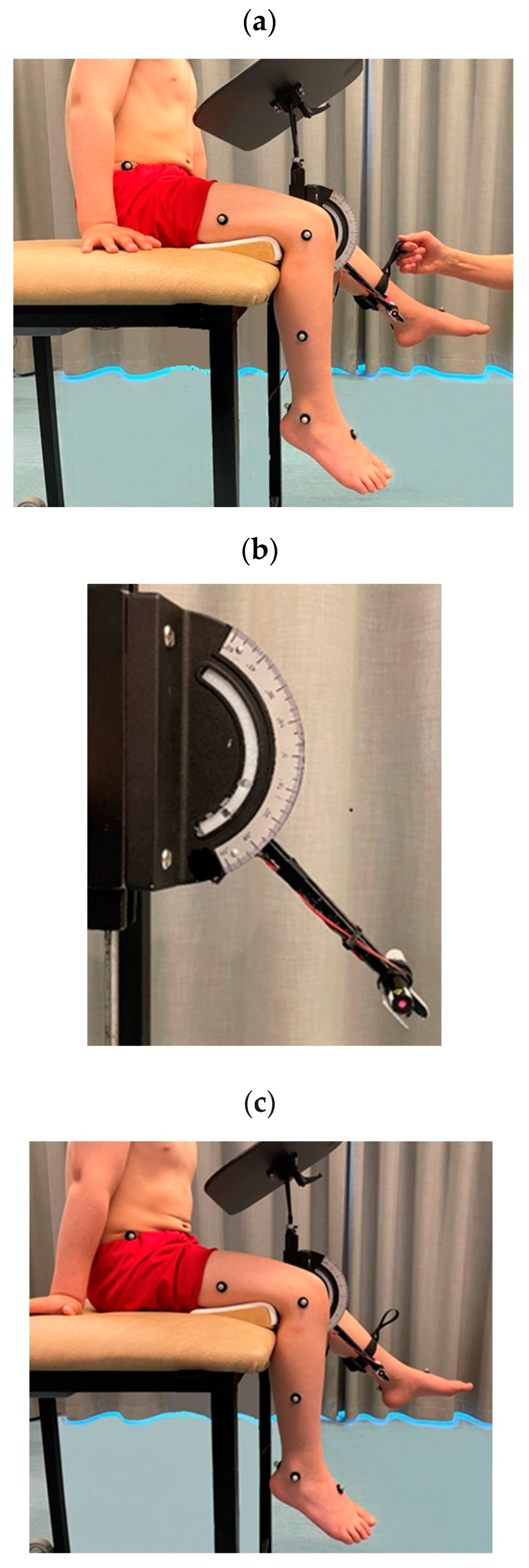 Children 10 01056 g002 Children 10 01056 g002