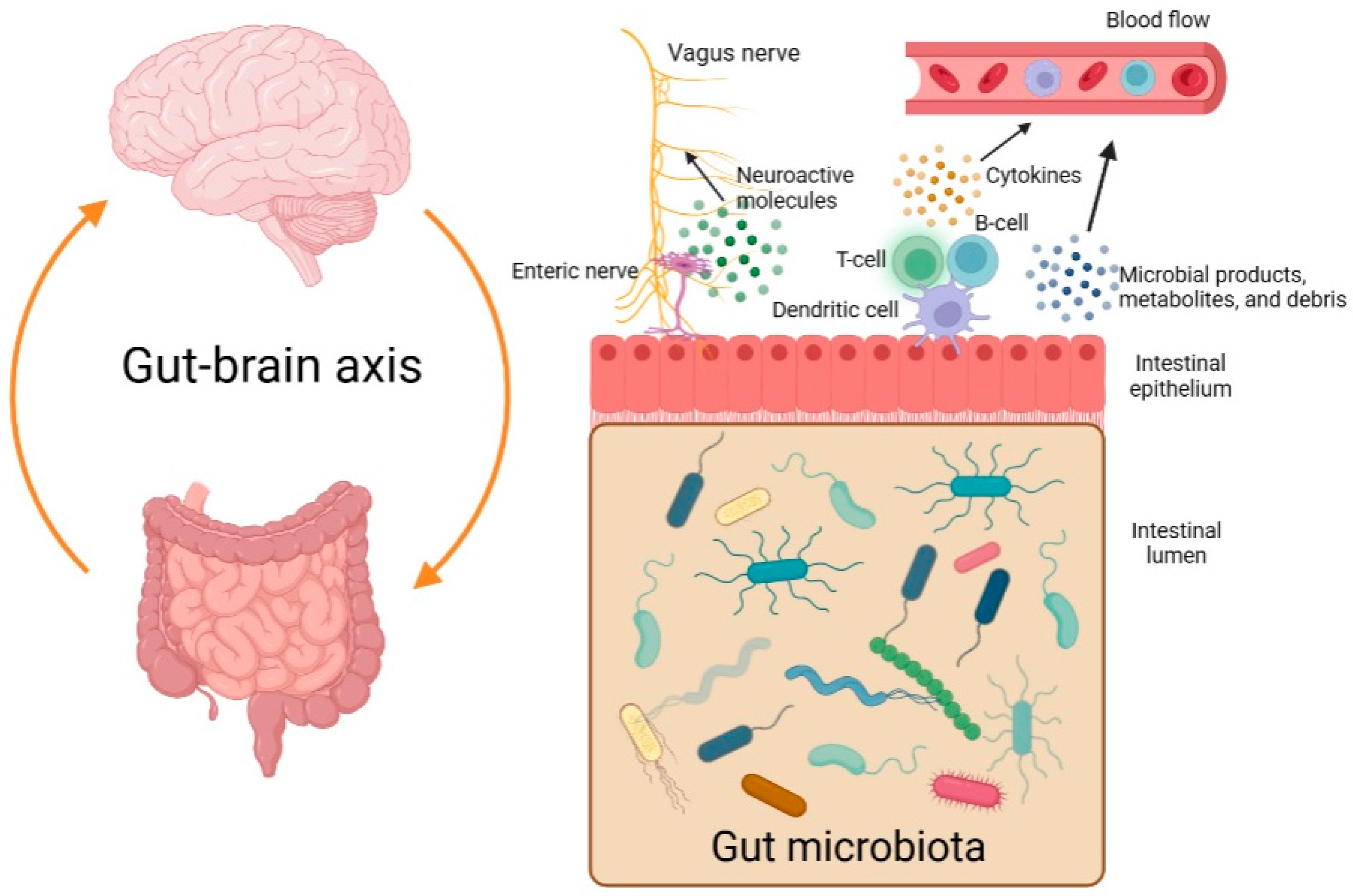 Children 10 01103 g001 Children 10 01103 g001