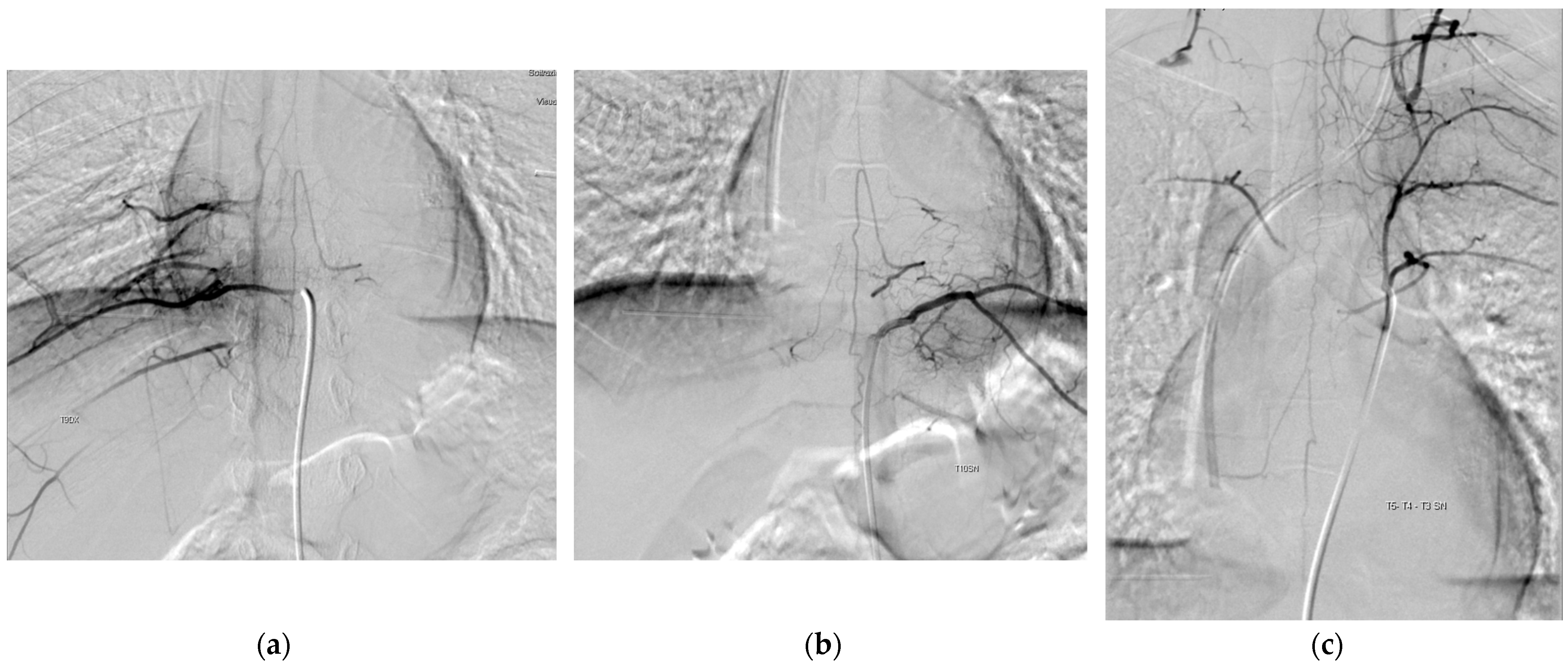 Children 10 01116 g001 Children 10 01116 g001