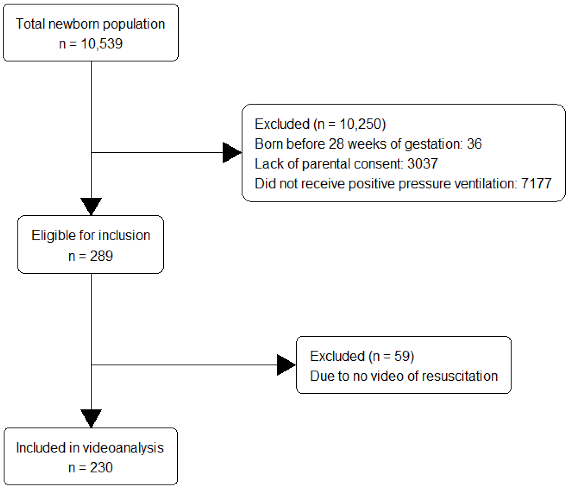 Children 10 01124 g001 Children 10 01124 g001