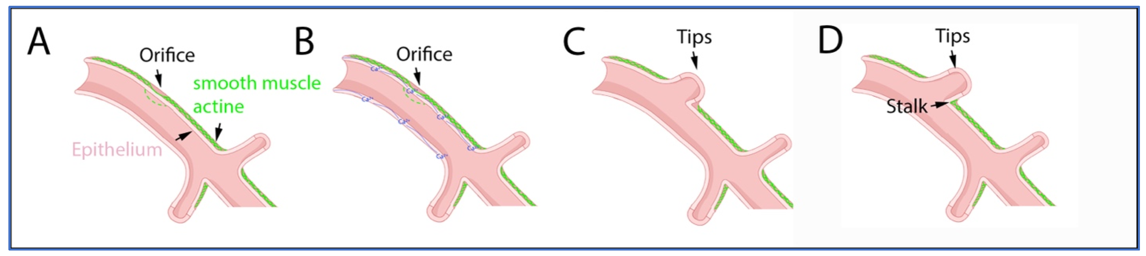 Children 10 01127 g001