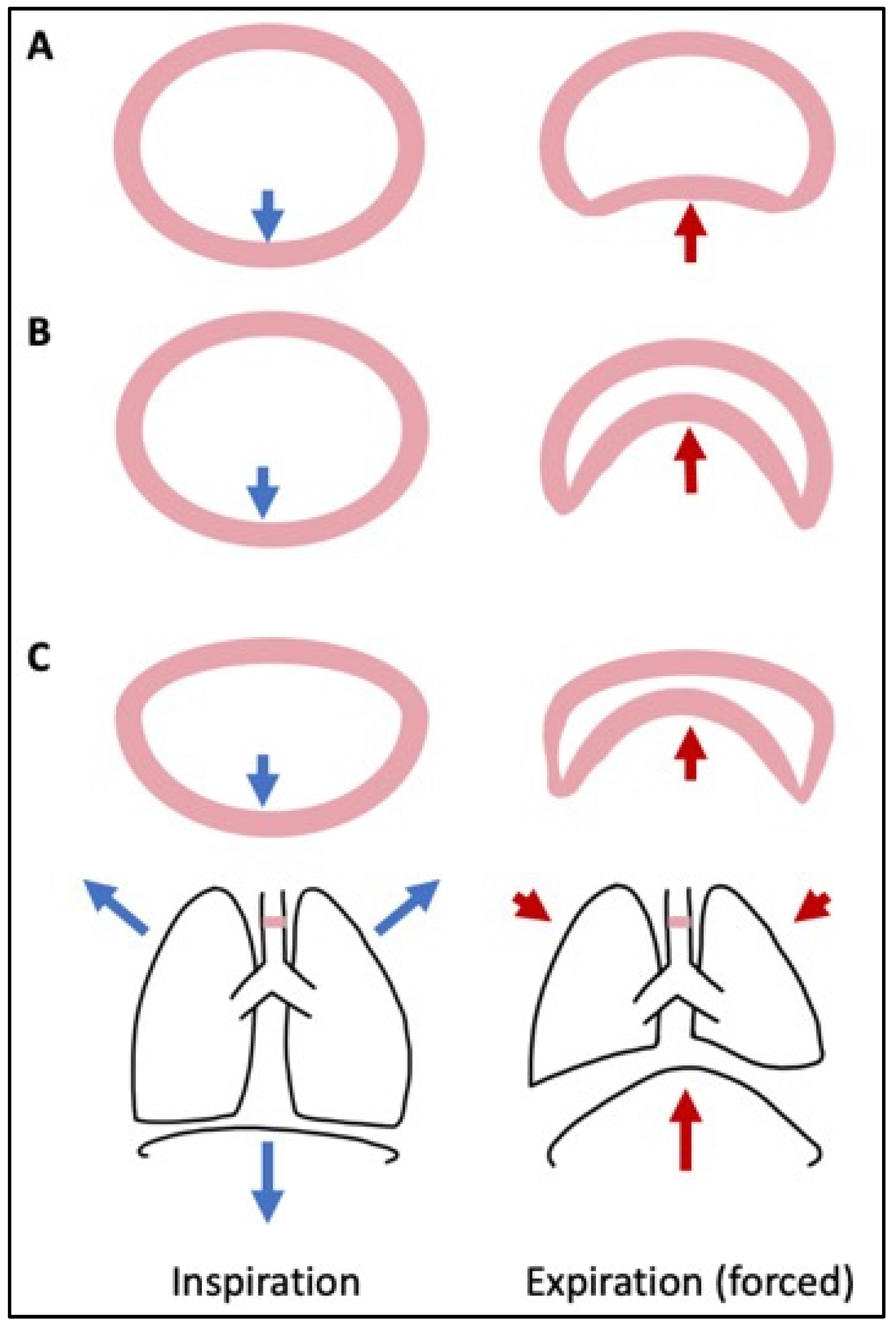 Children 10 01127 g002