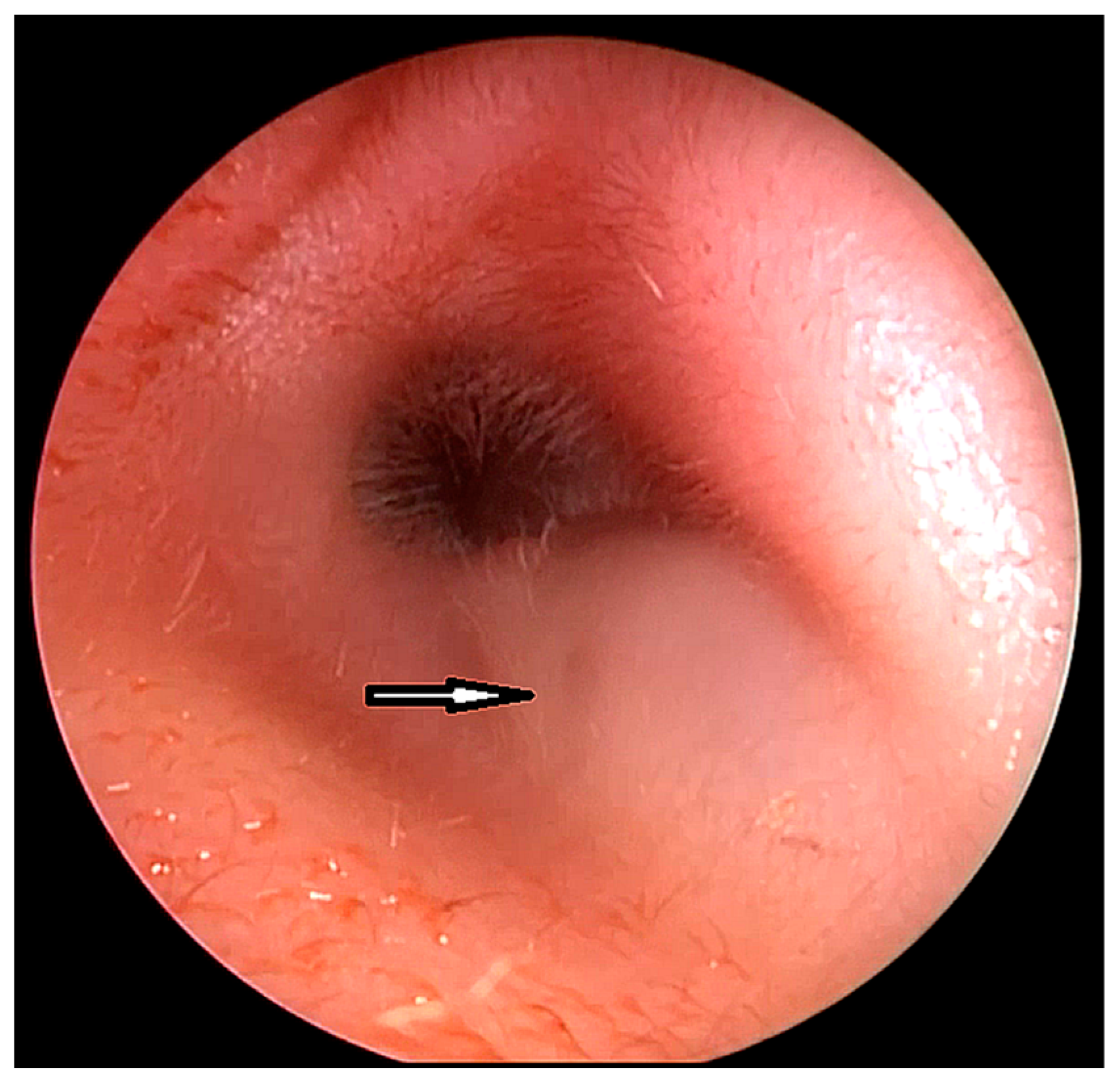 Children 10 01158 g001