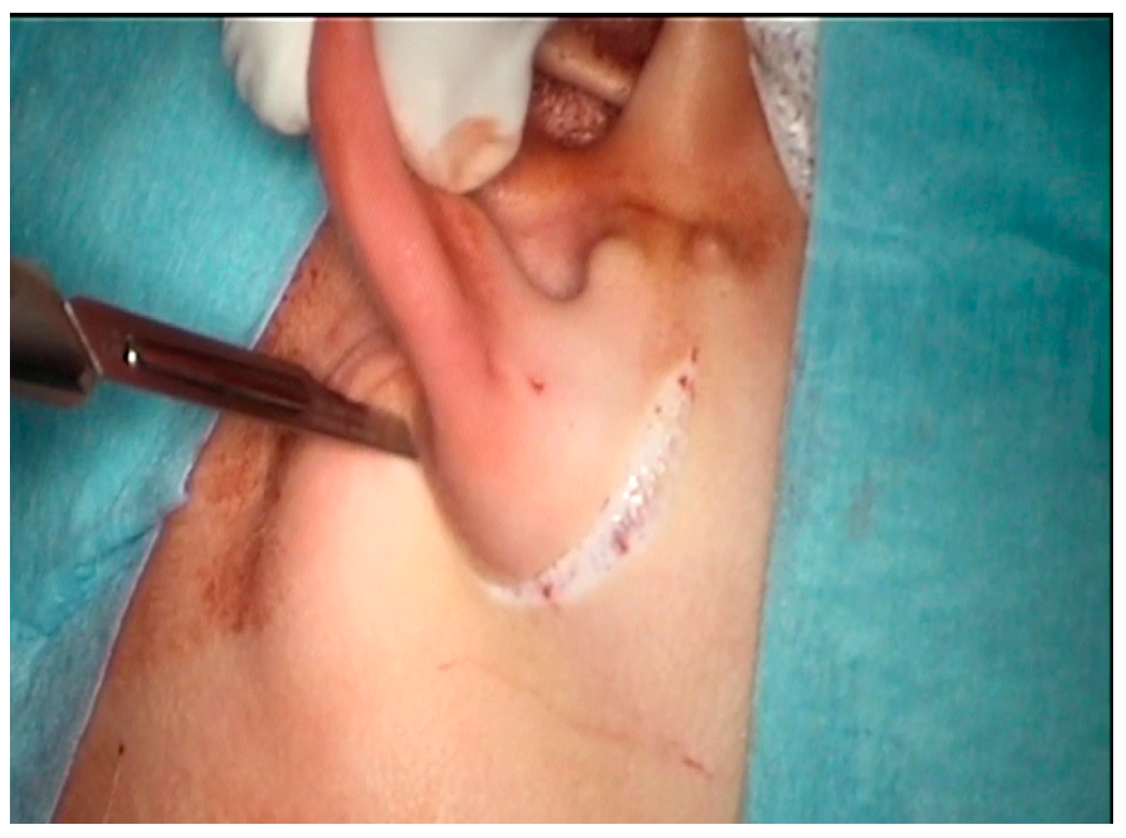 Children 10 01158 g002