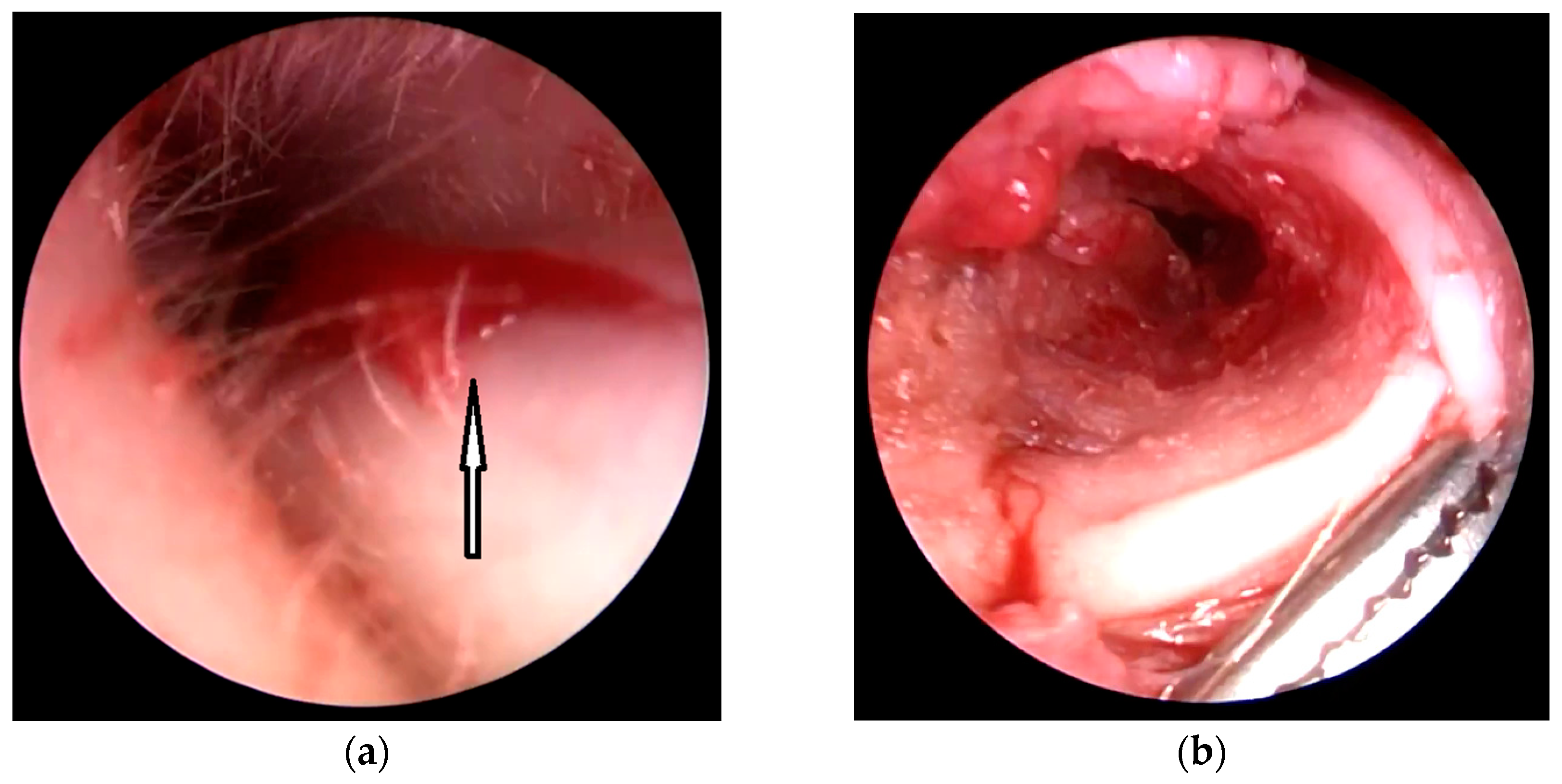 Children 10 01158 g004