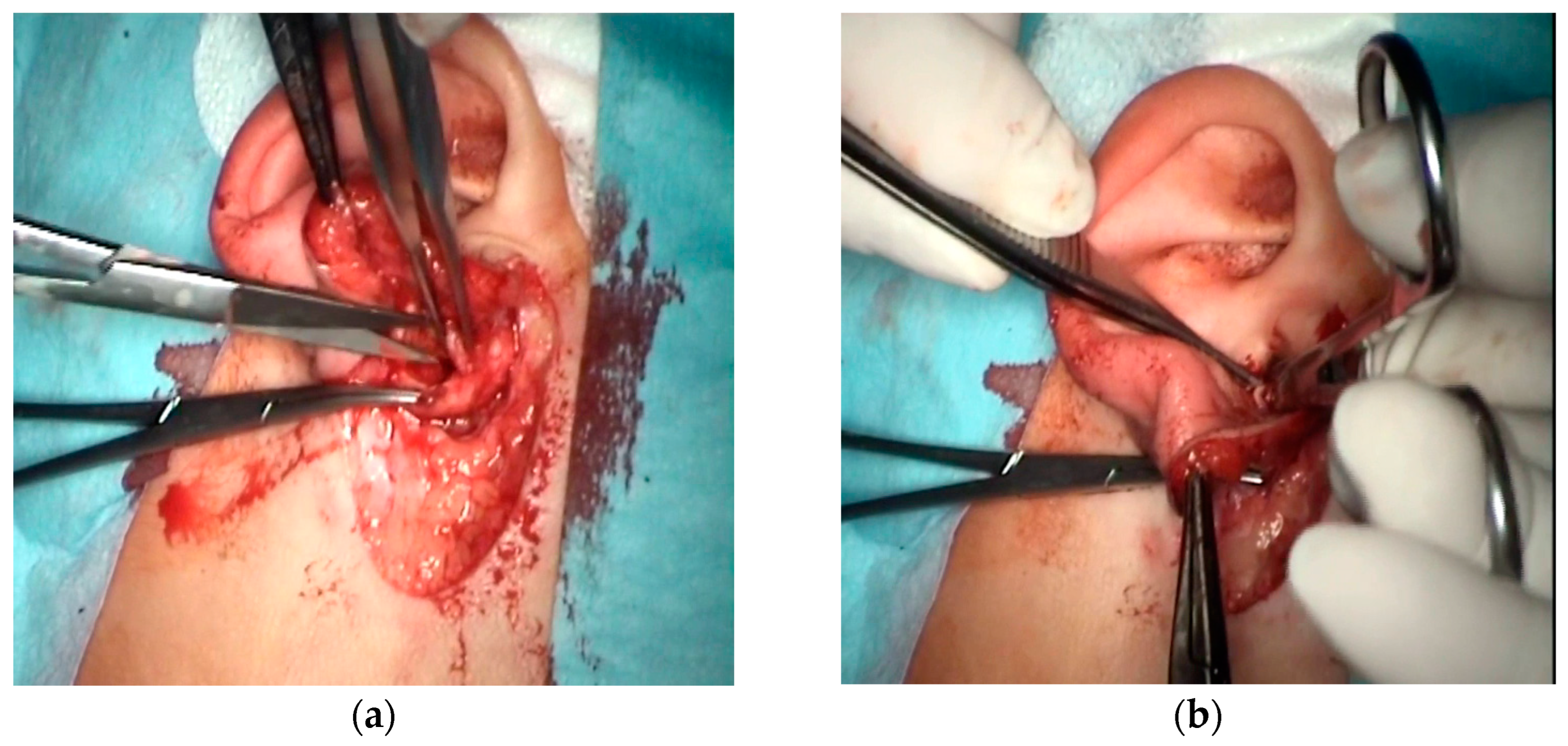 Children 10 01158 g005