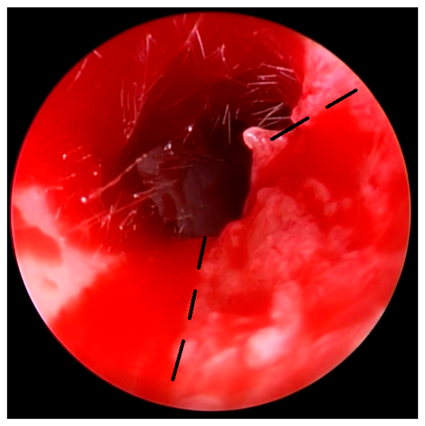 Children 10 01158 g006