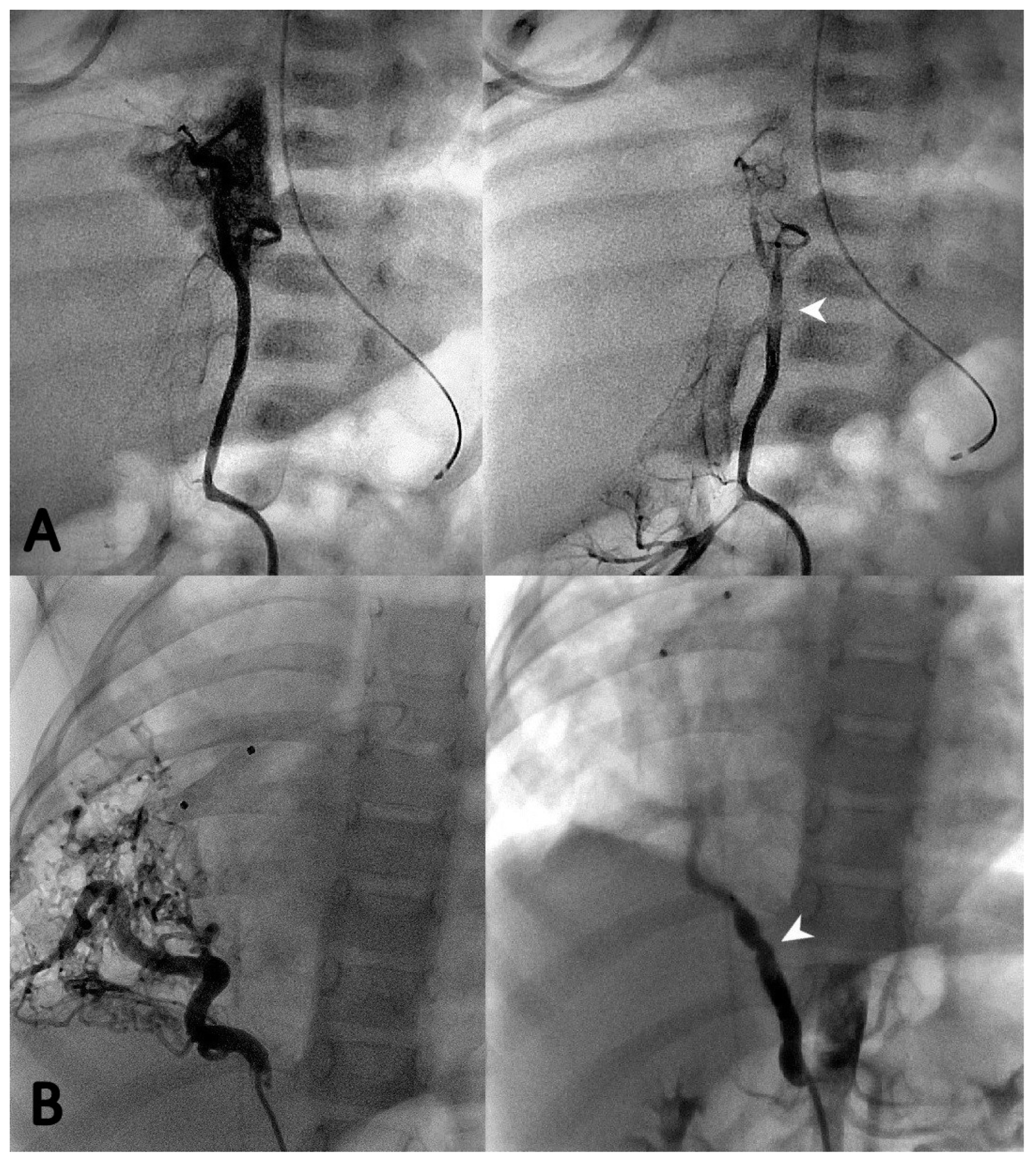 Children 10 01197 g002