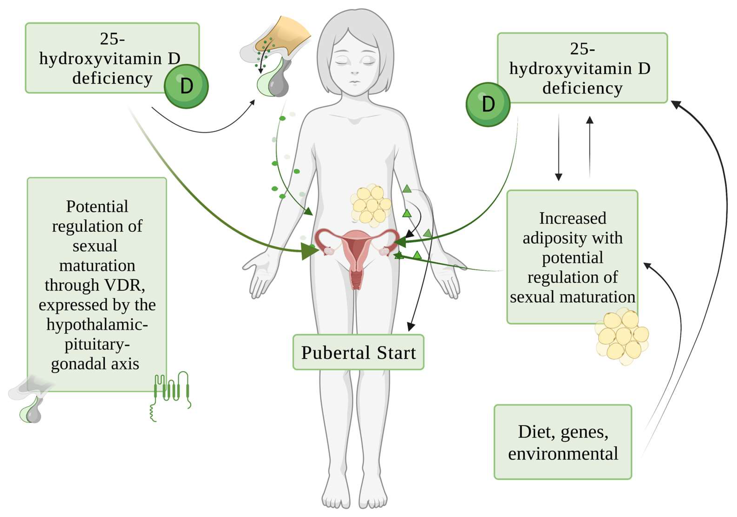 Children Free Full Text Association Between Vitamin D Levels children-free-full-text-association-between-vitamin-d-levels